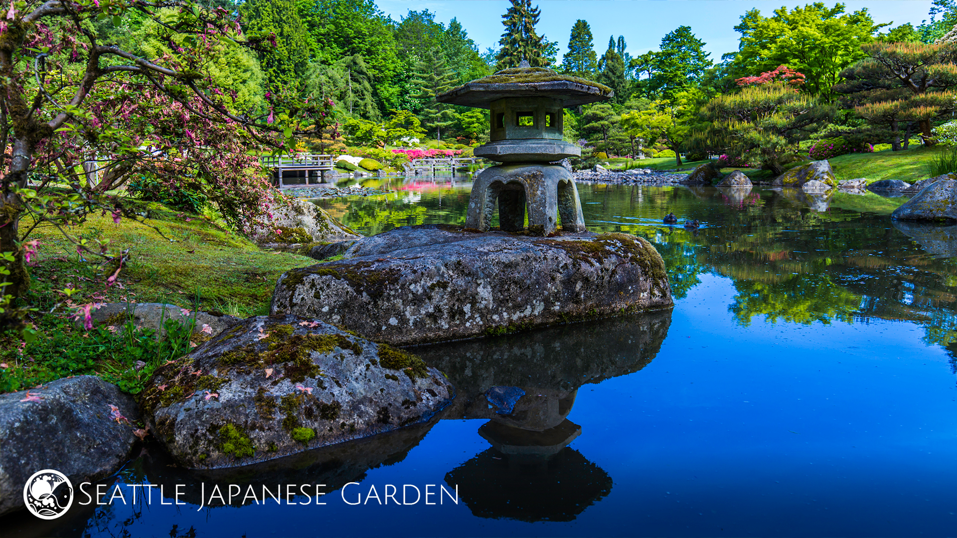 Garden Background