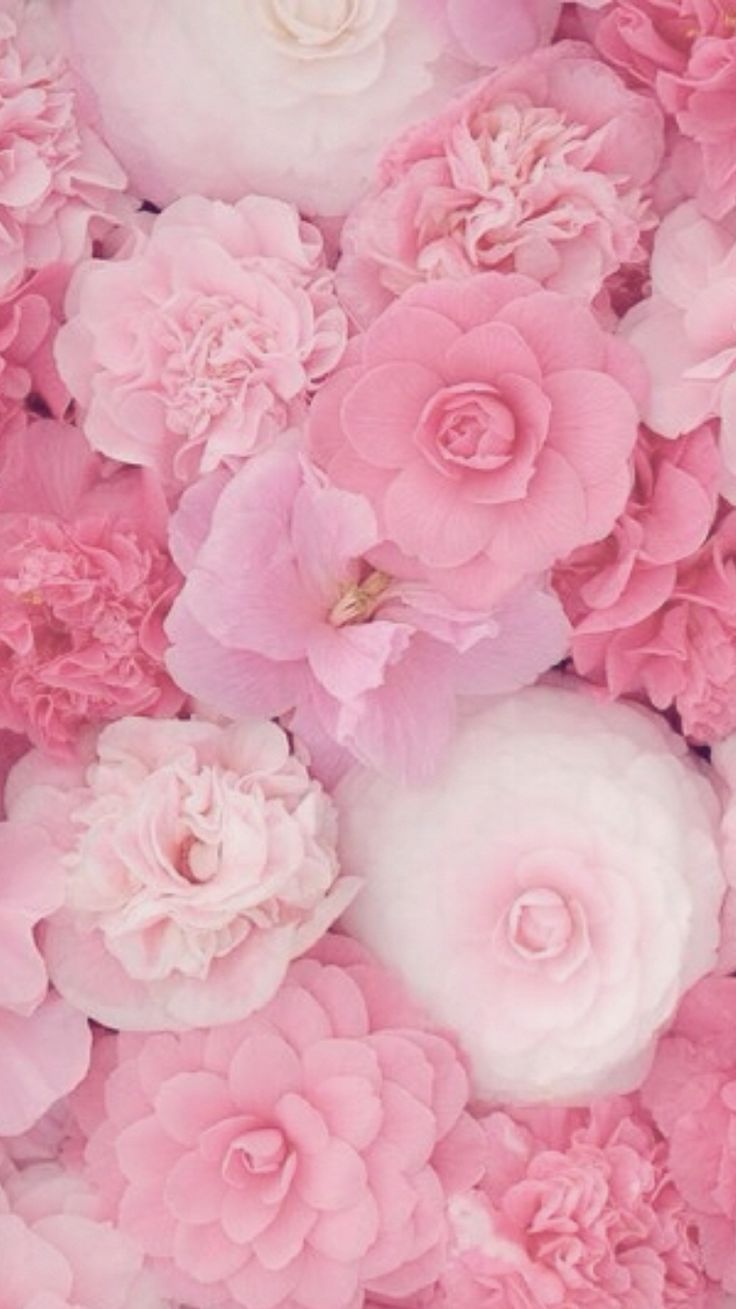 Girly Flower Backgrounds