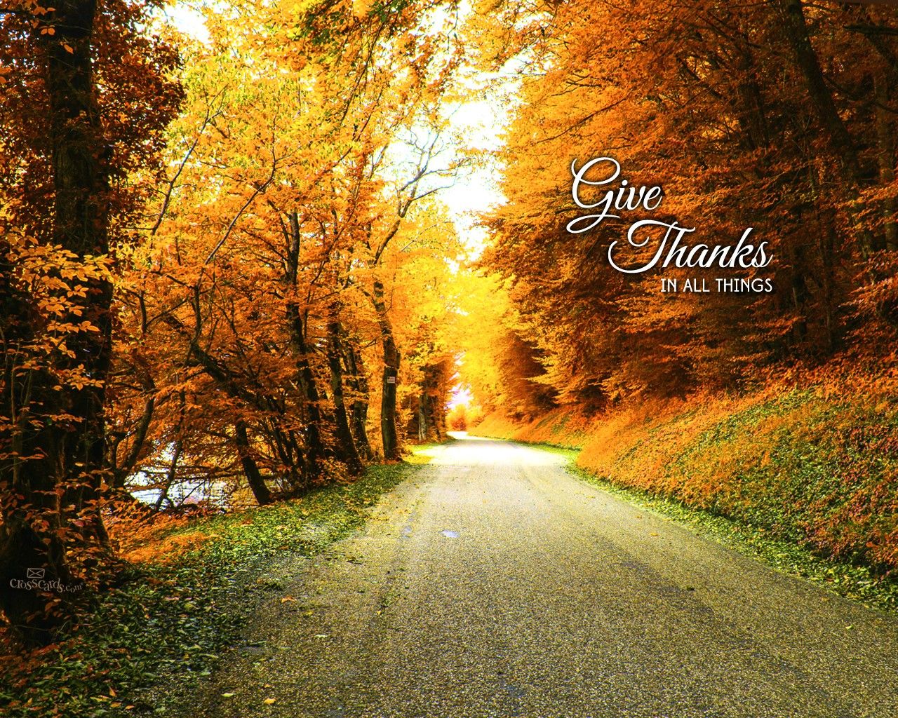 Give Thanks Background