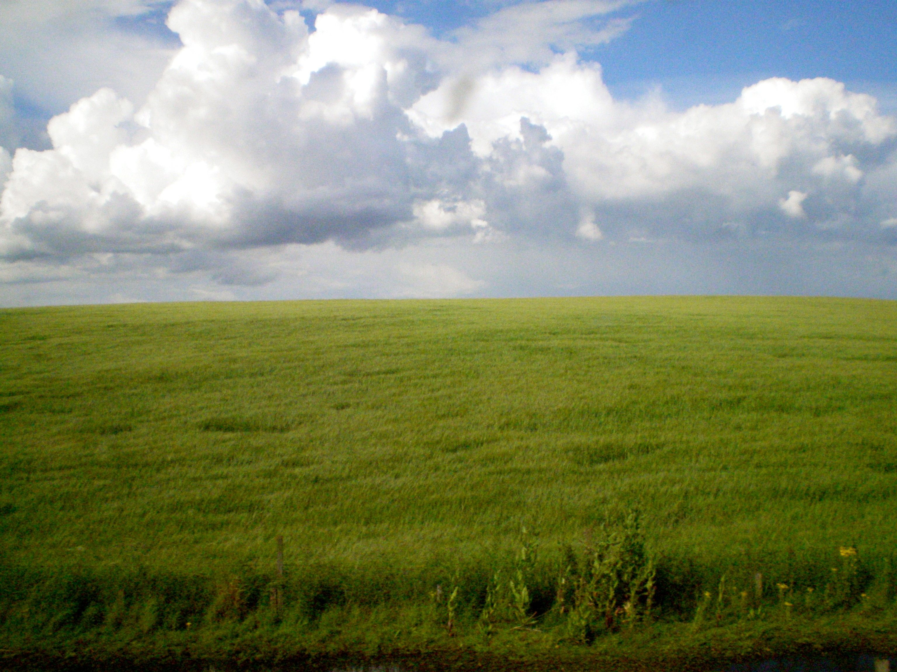 Grassy Hill Background