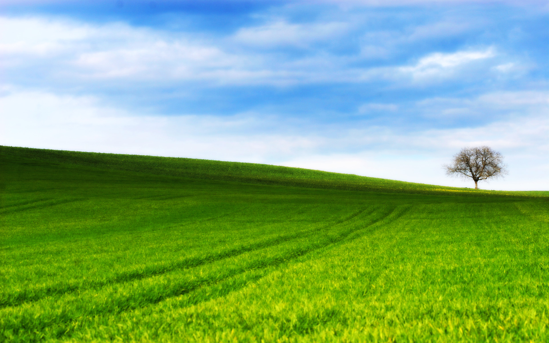 Grassy Hill Background