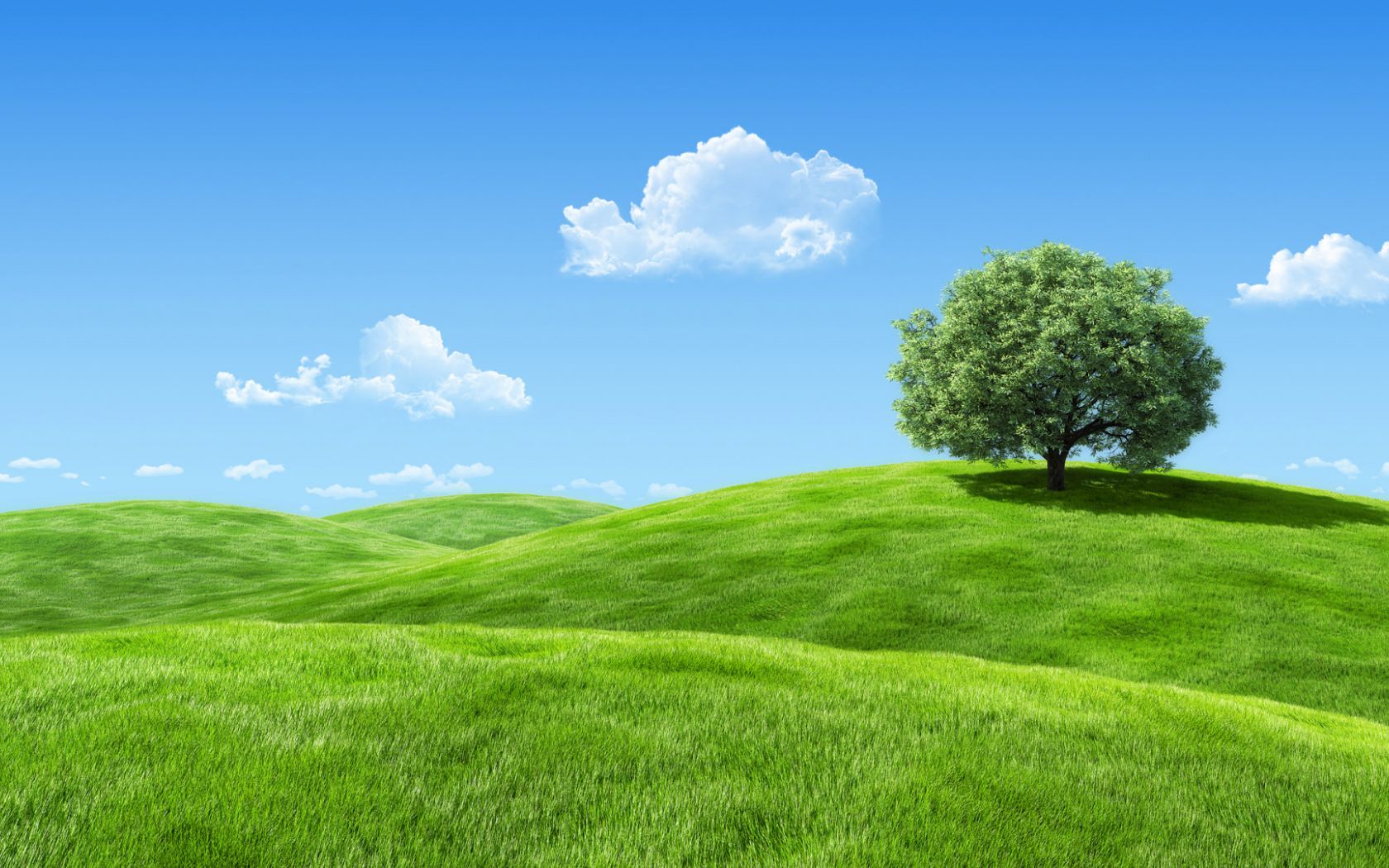 Grassy Hill Background