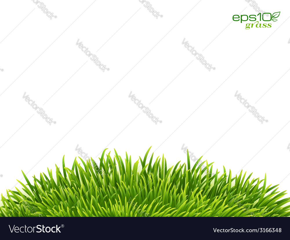 Grassy Hill Background