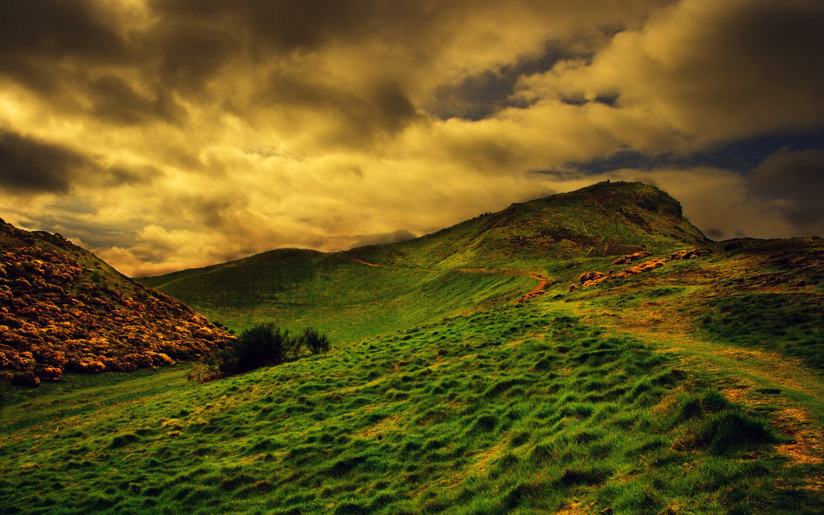 Grassy Hill Background