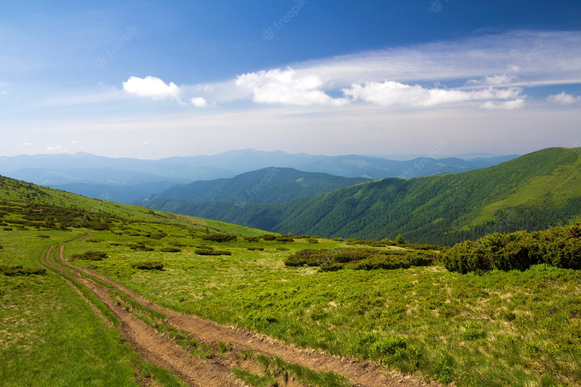 Grassy Hill Background