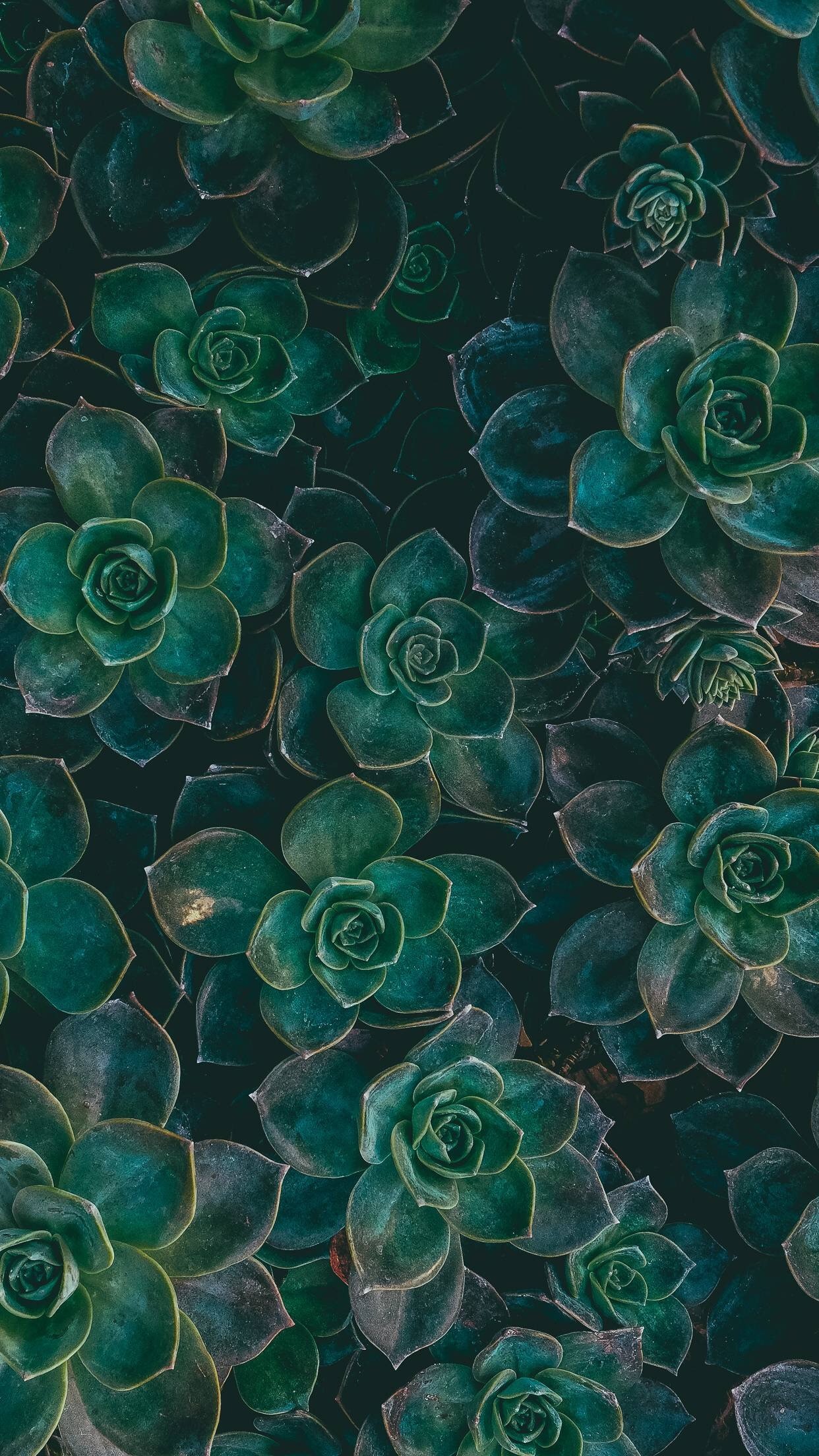 Green Phone Background