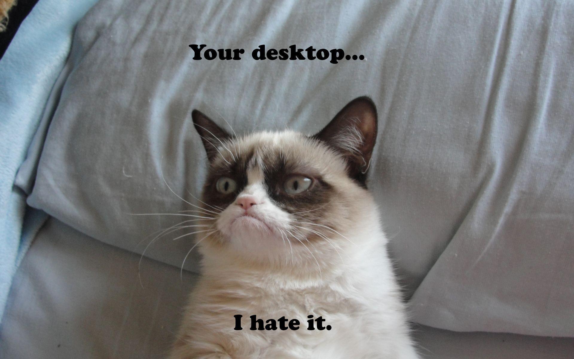 Grumpy Cat Desktop Background