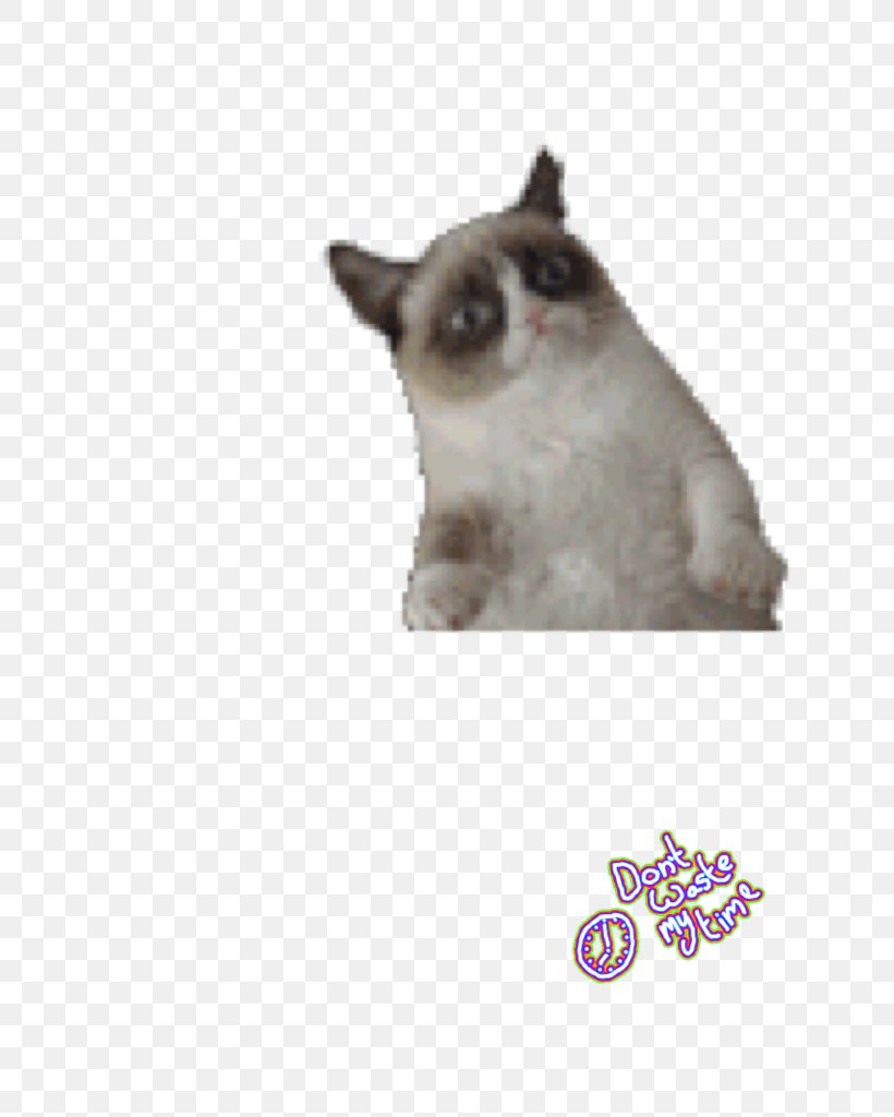 Grumpy Cat Desktop Background
