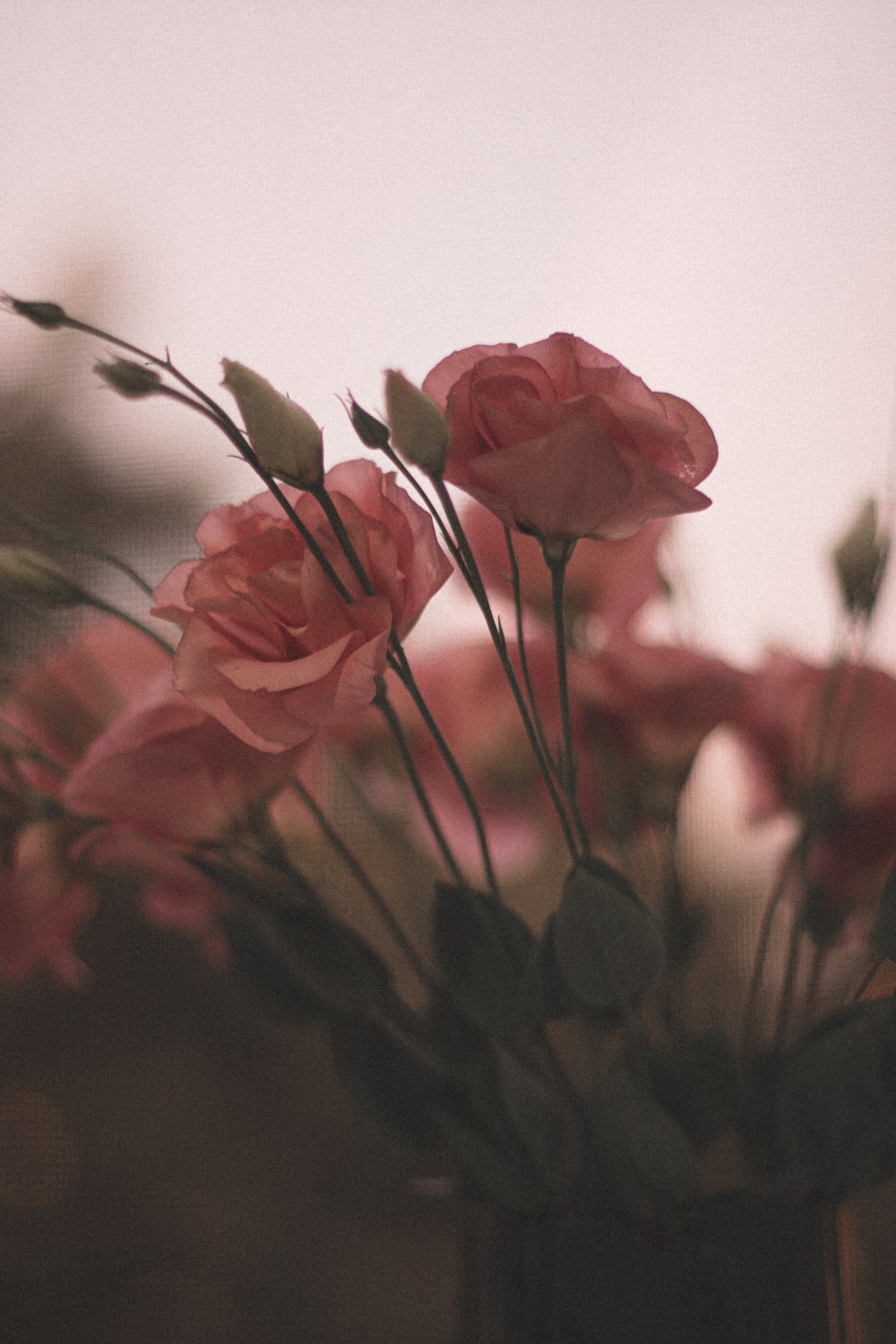 Grunge Flower Background Tumblr