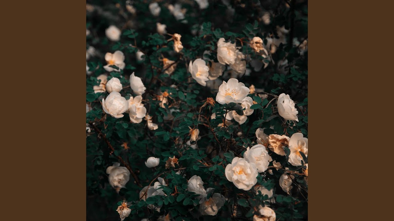 Grunge Flower Background Tumblr