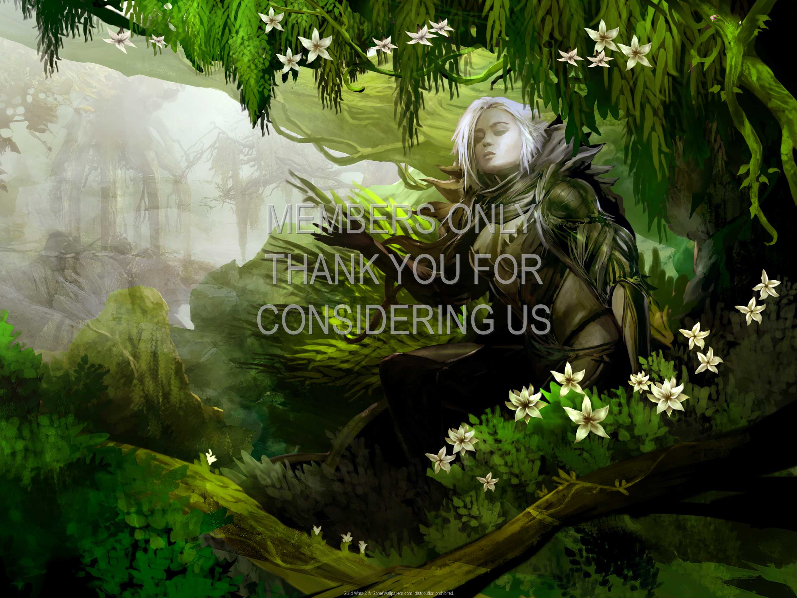 Guild Wars 2 Background