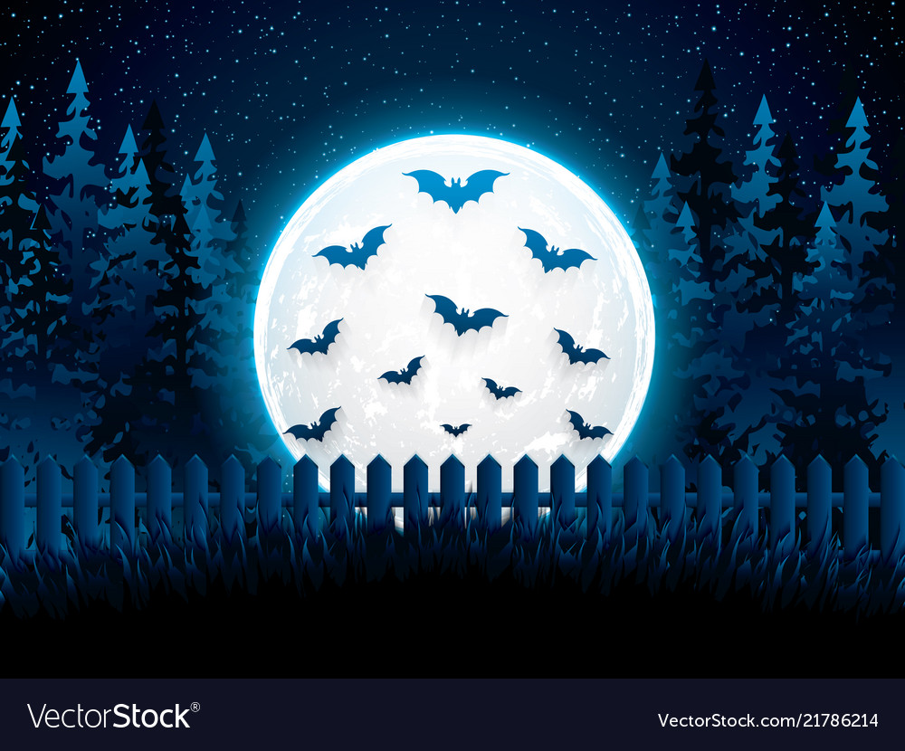 Halloween Night Background