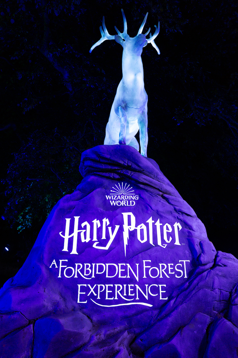 Harry Potter Forest Background