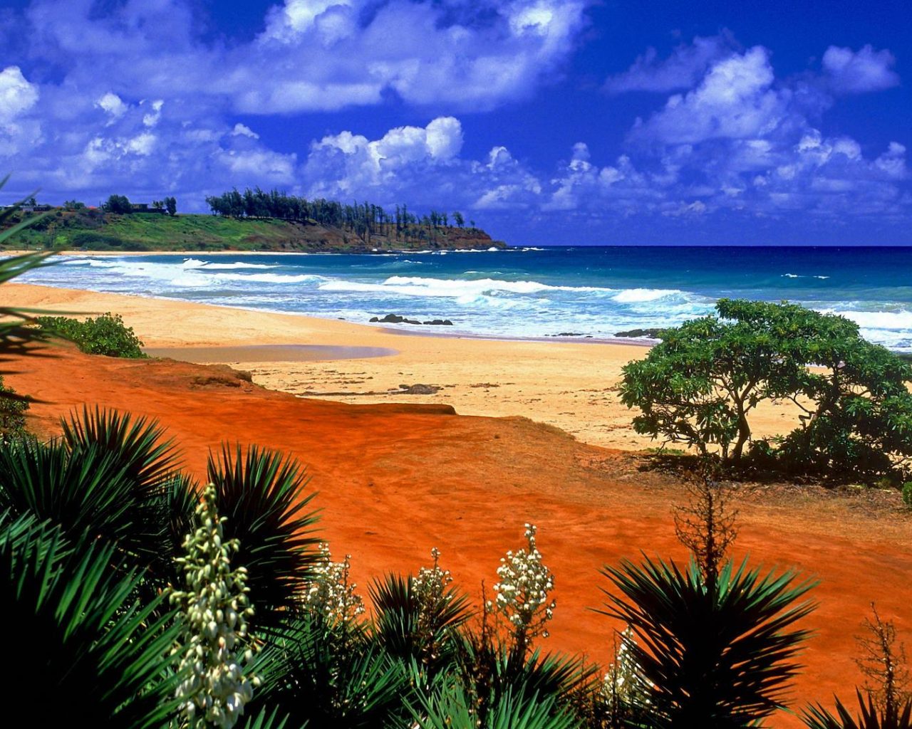 Hawaii Desktop Backgrounds