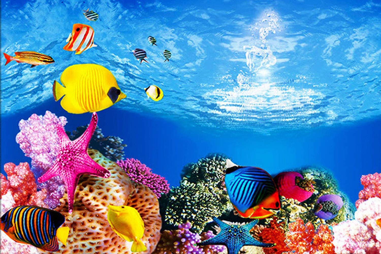 Hd Fish Background