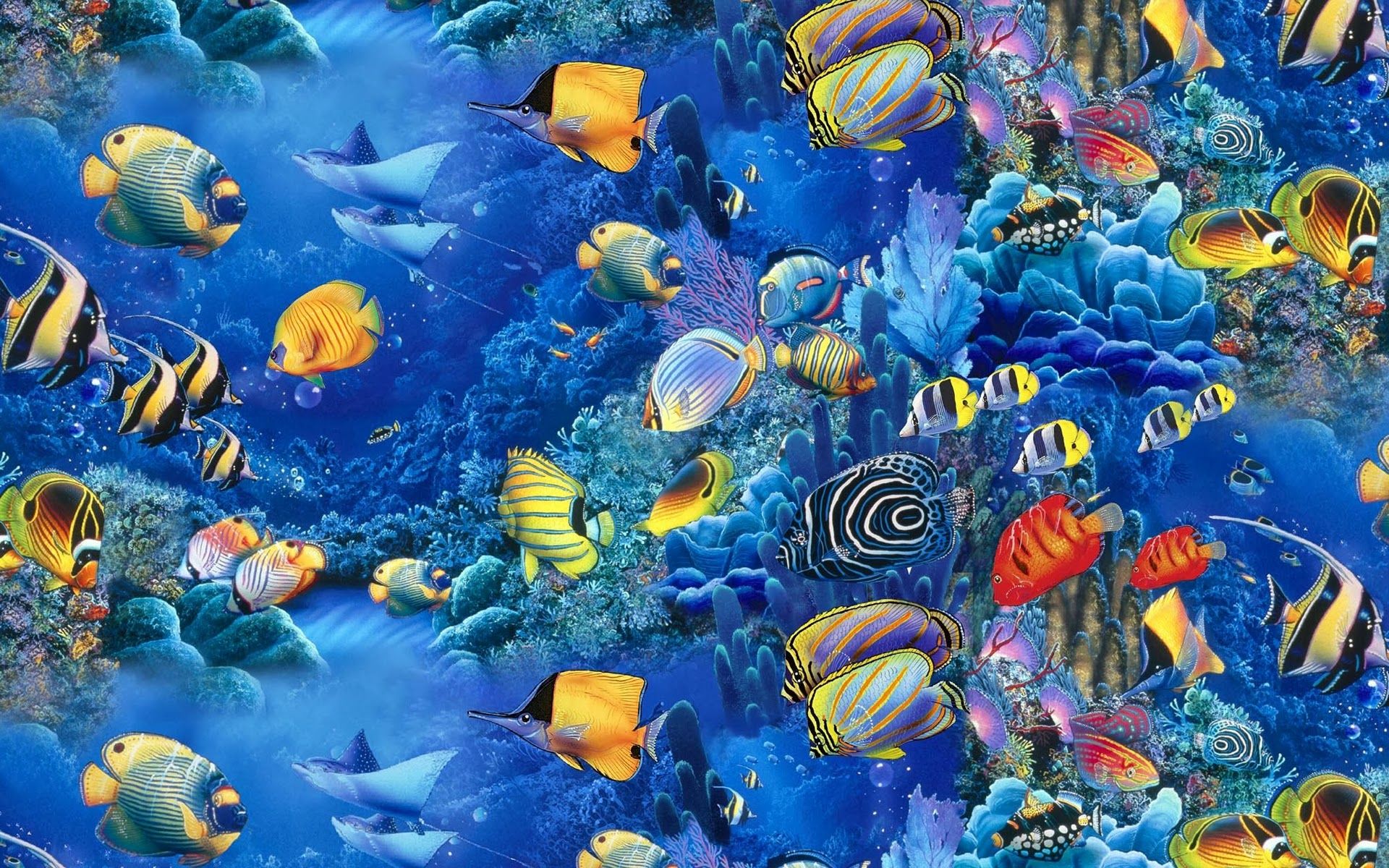 Hd Fish Background