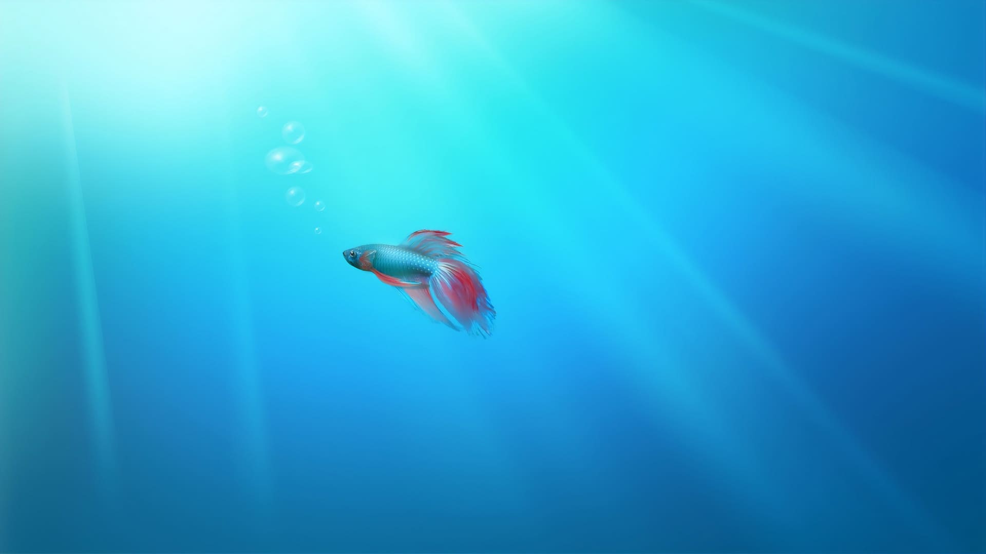 Hd Fish Background