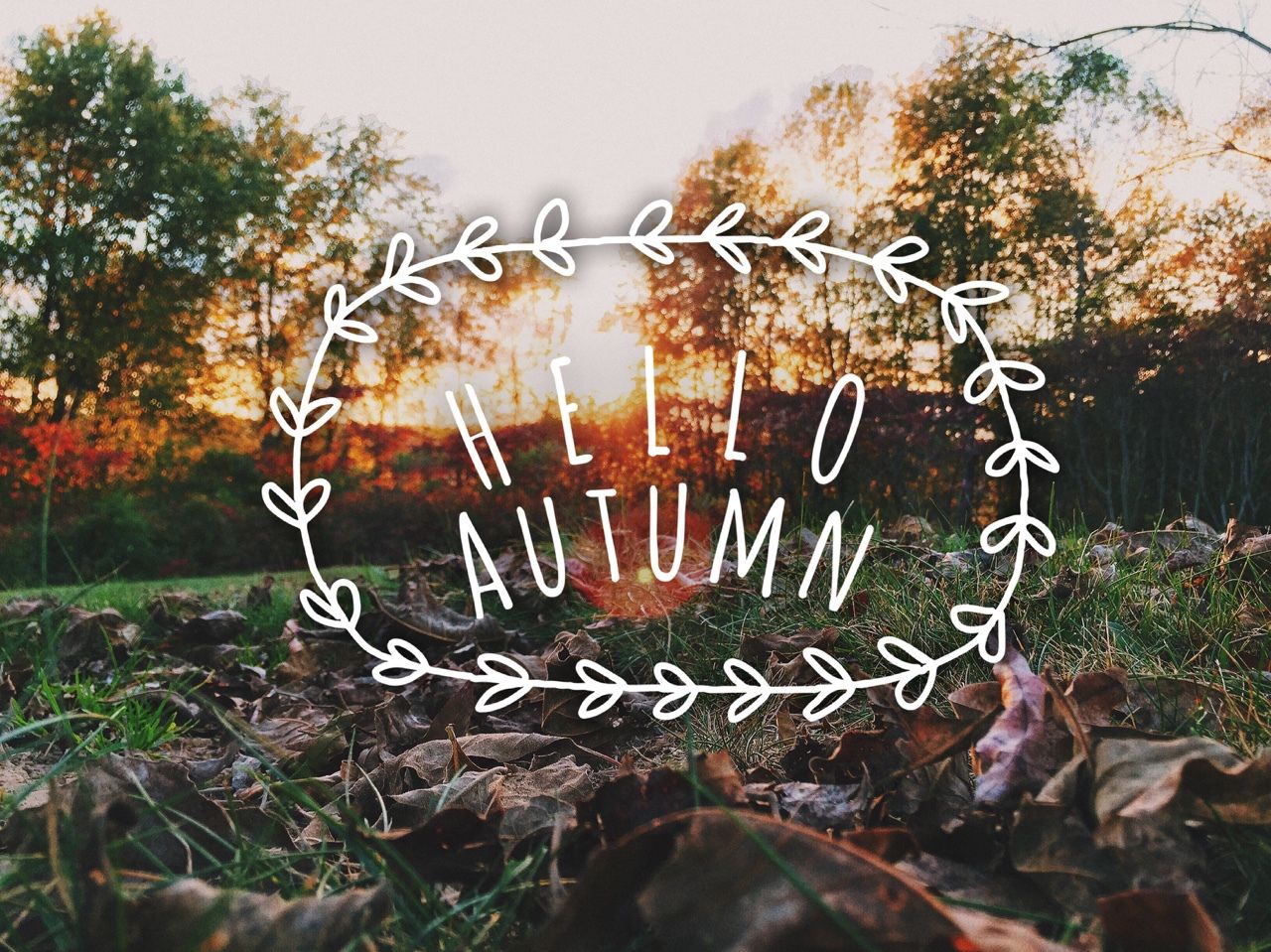 Hello Fall Background