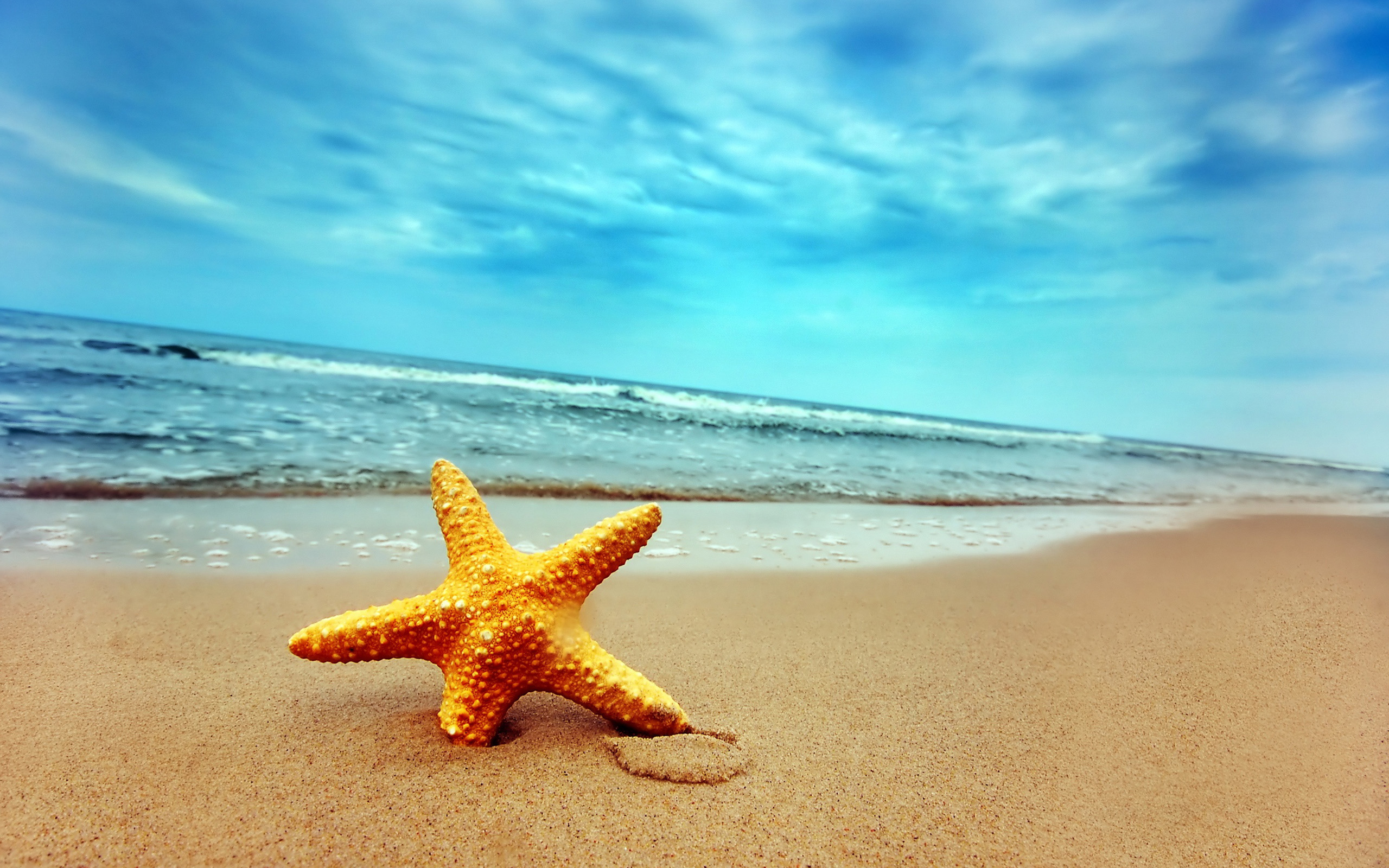 High Resolution Beach Background