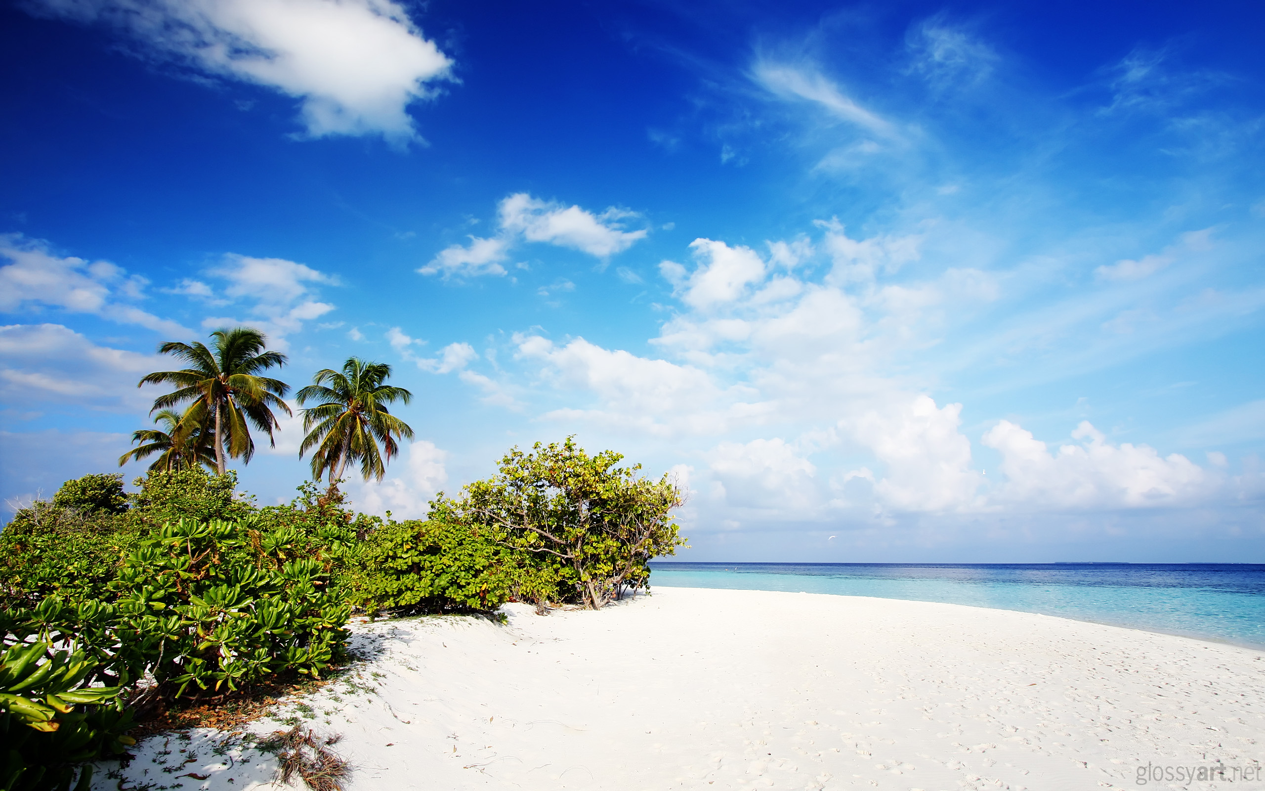 High Resolution Beach Background