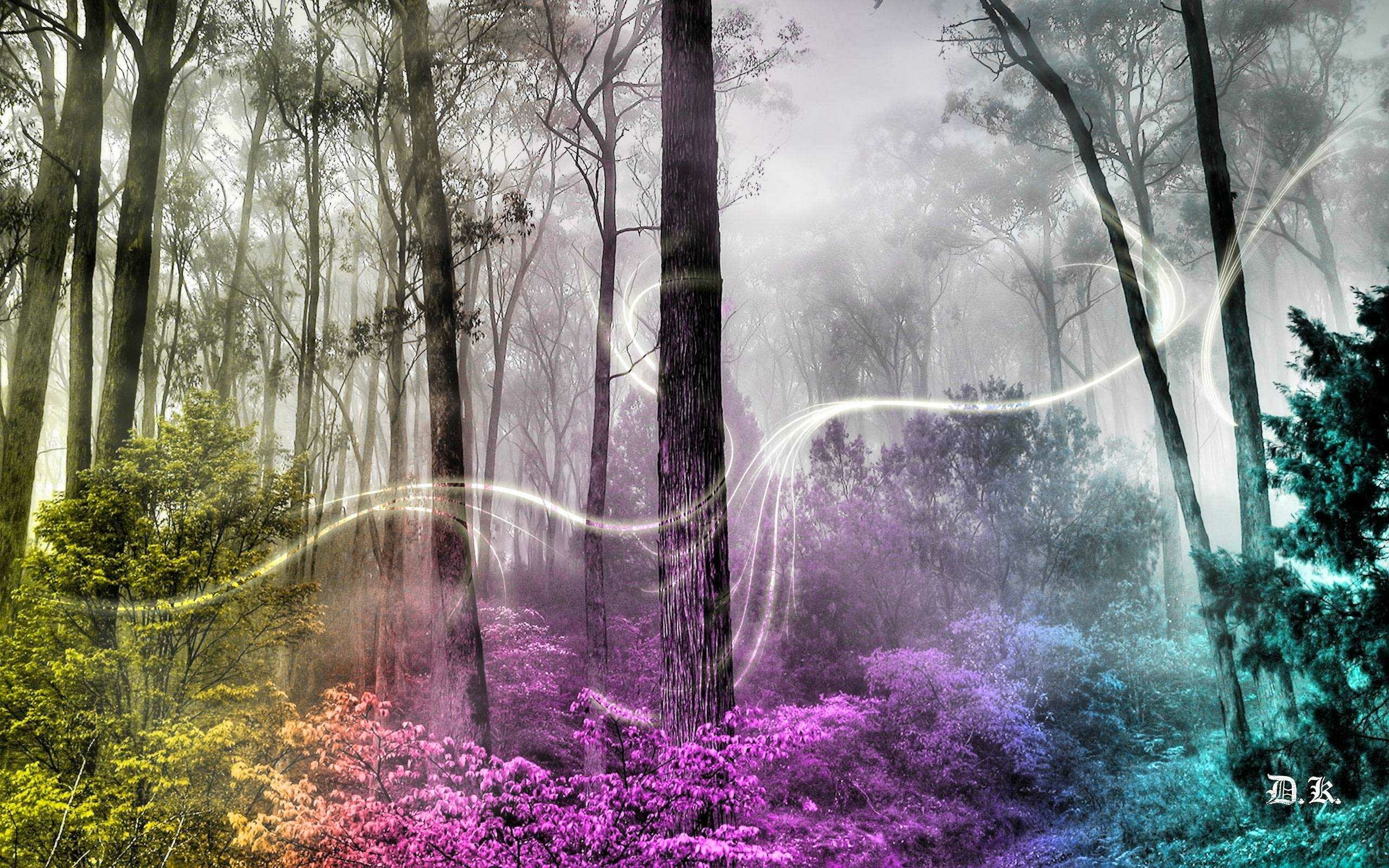 High Resolution Enchanted Forest Background