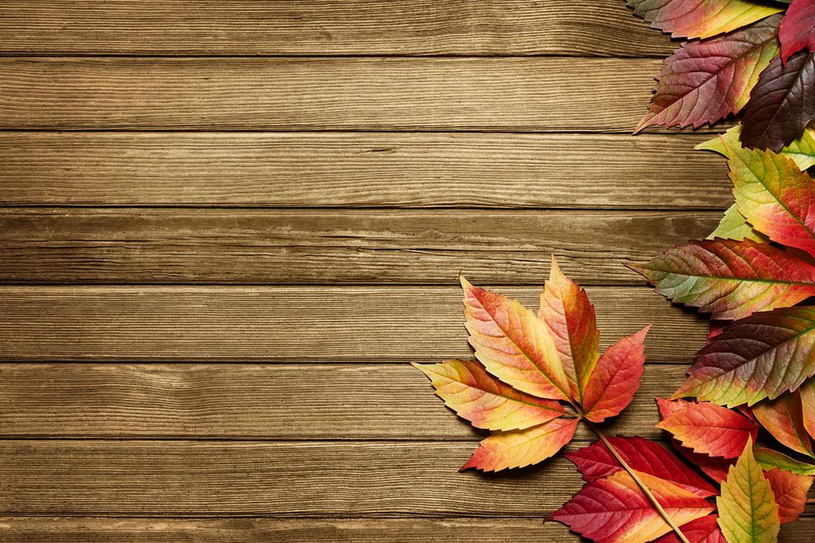 High Resolution Fall Background