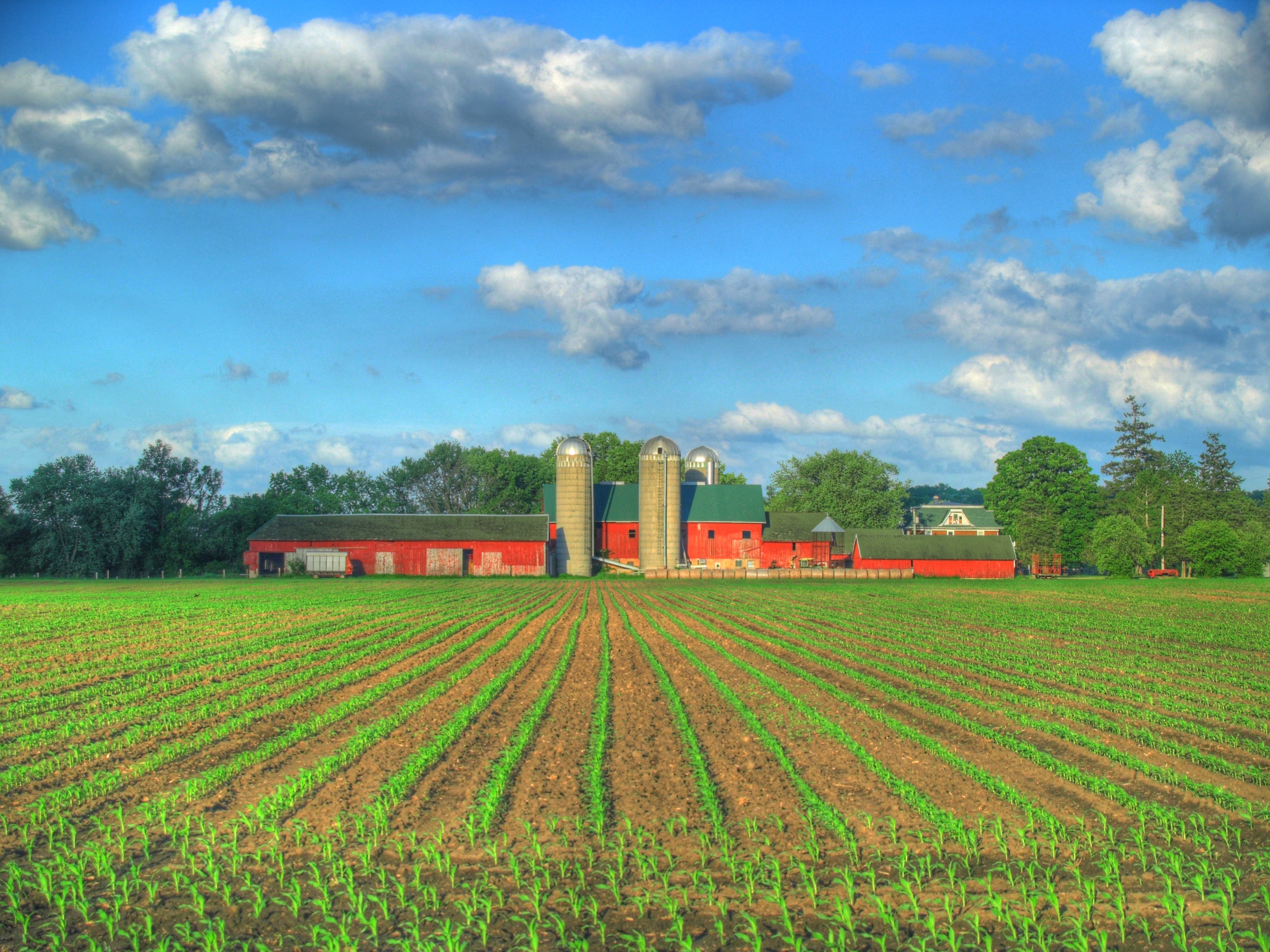 High Resolution Farm Background