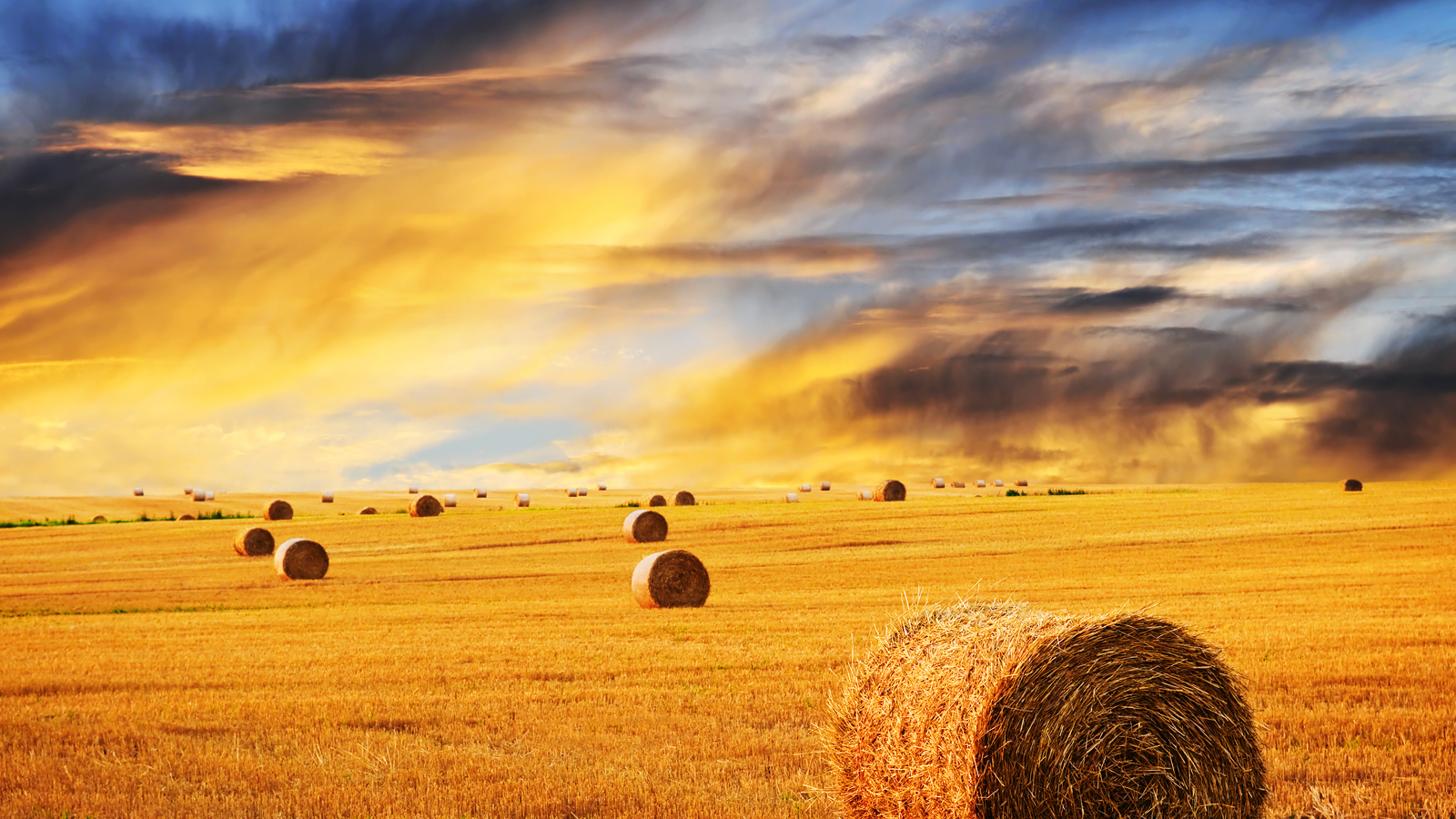 High Resolution Farm Background