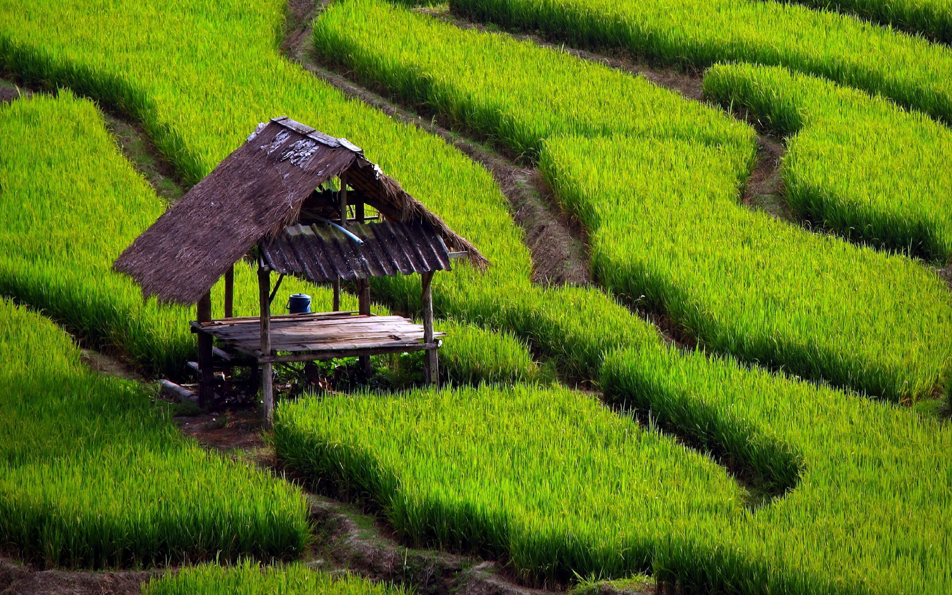 High Resolution Farm Background