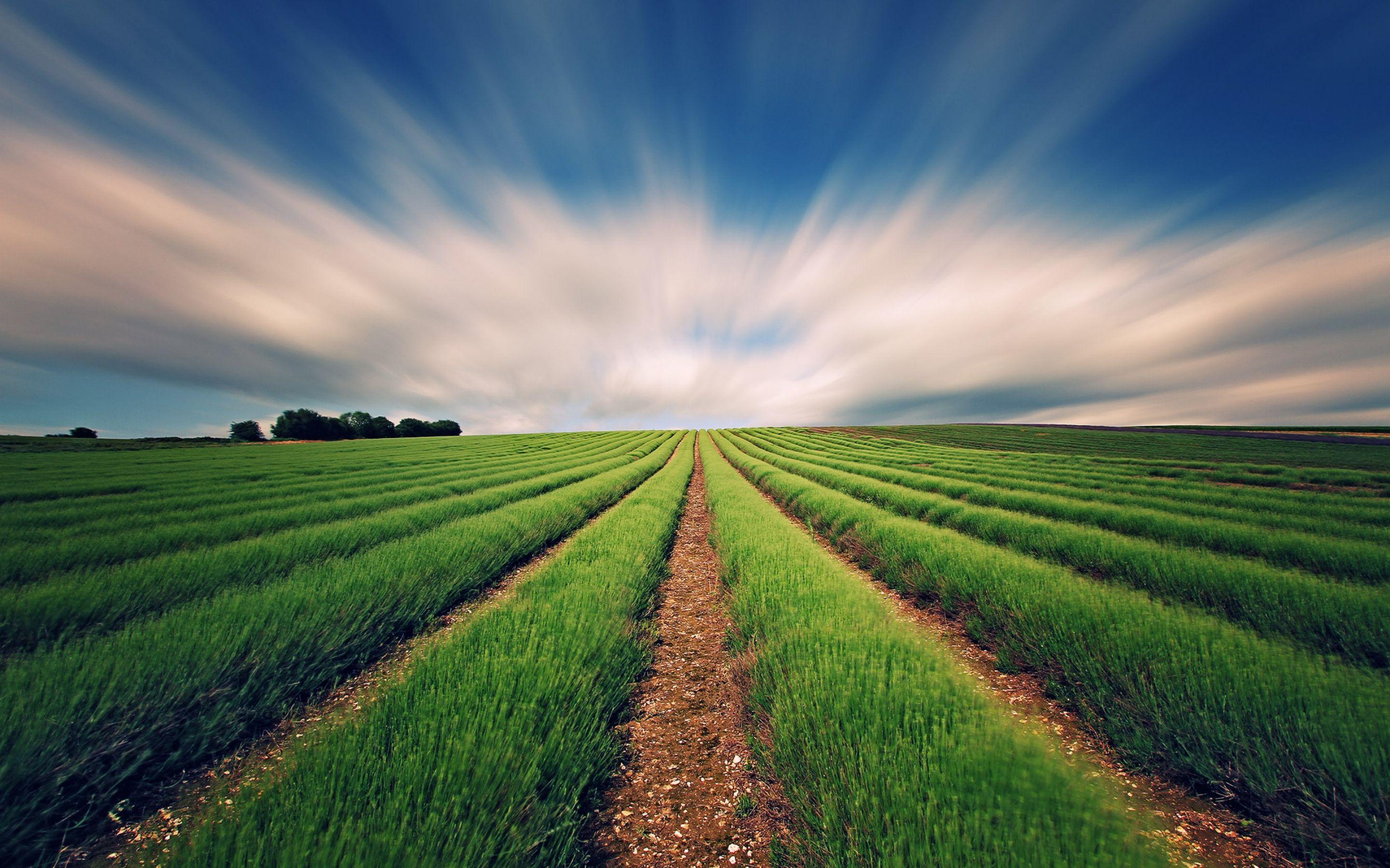 High Resolution Farm Background