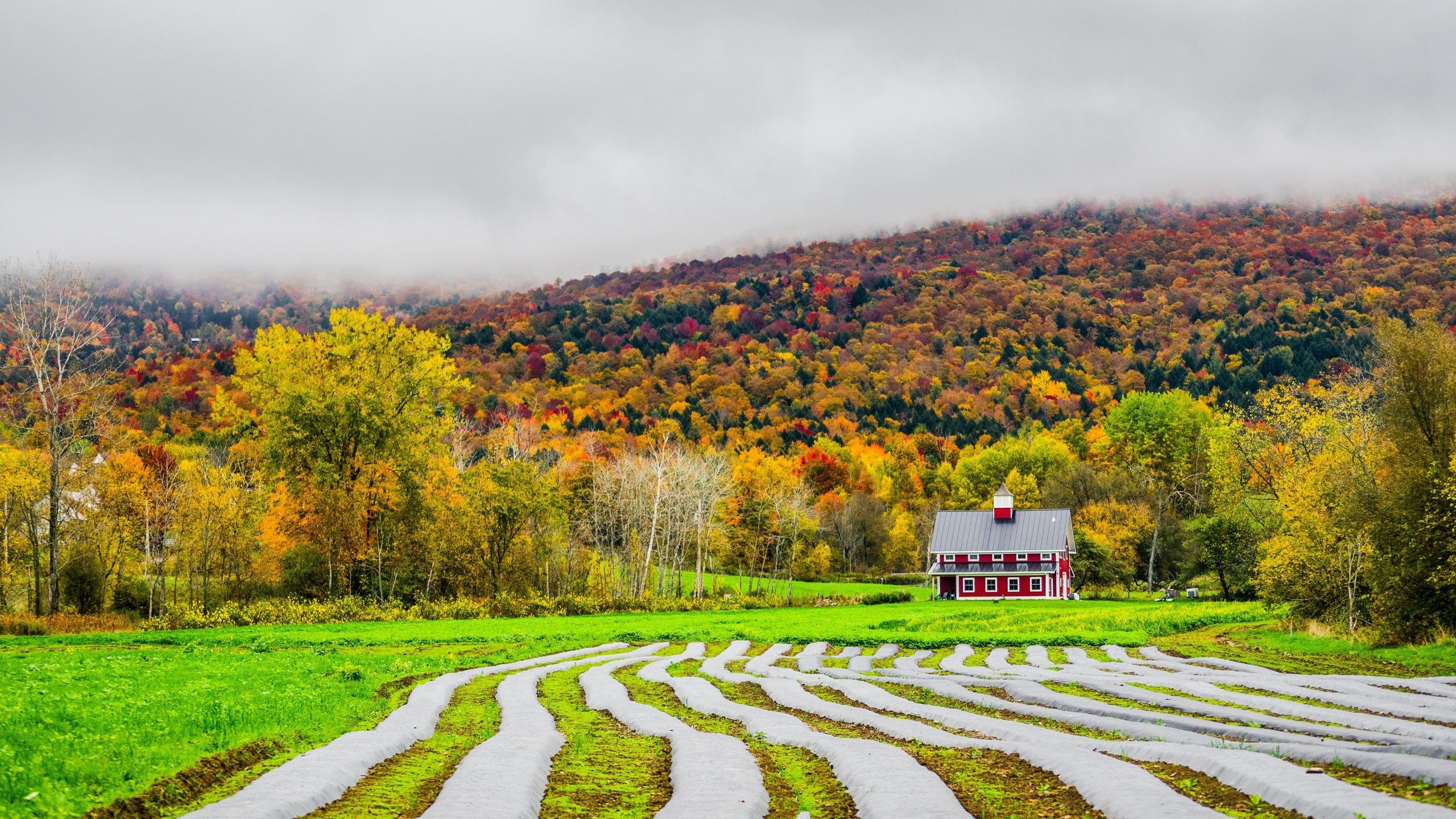 High Resolution Farm Background