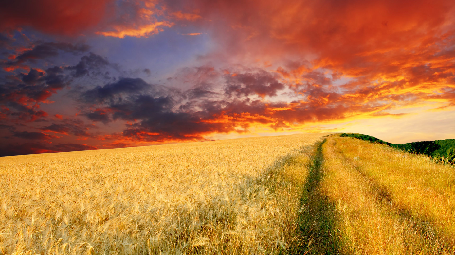 High Resolution Farm Background