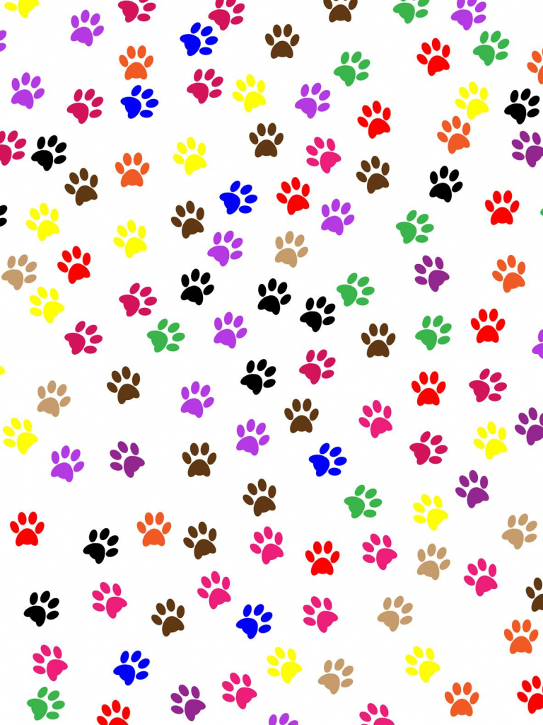 High Resolution Paw Print Background