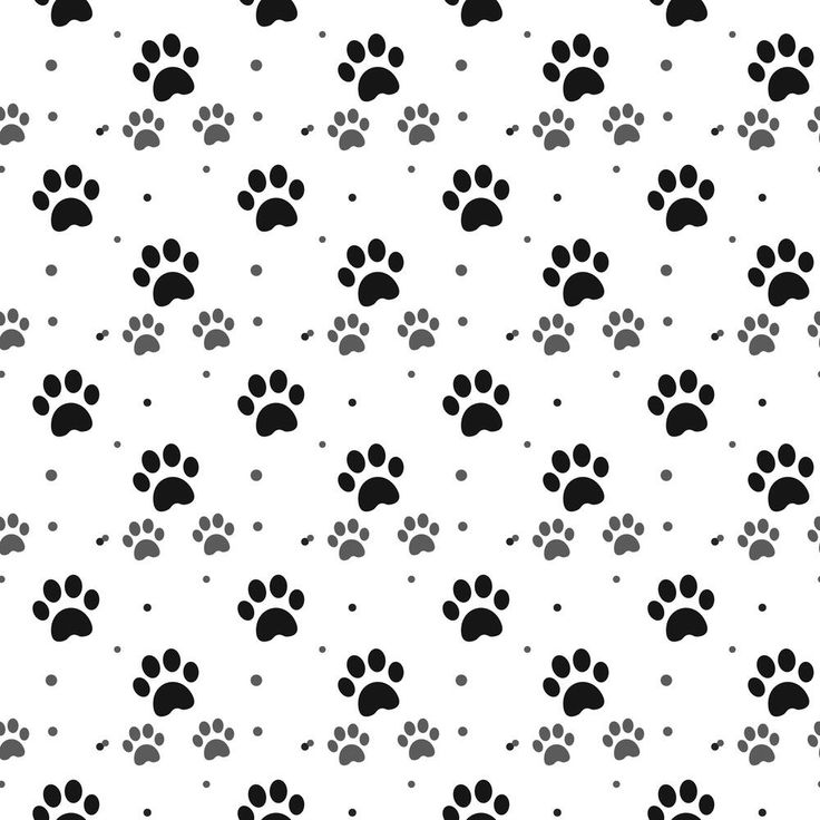 High Resolution Paw Print Background