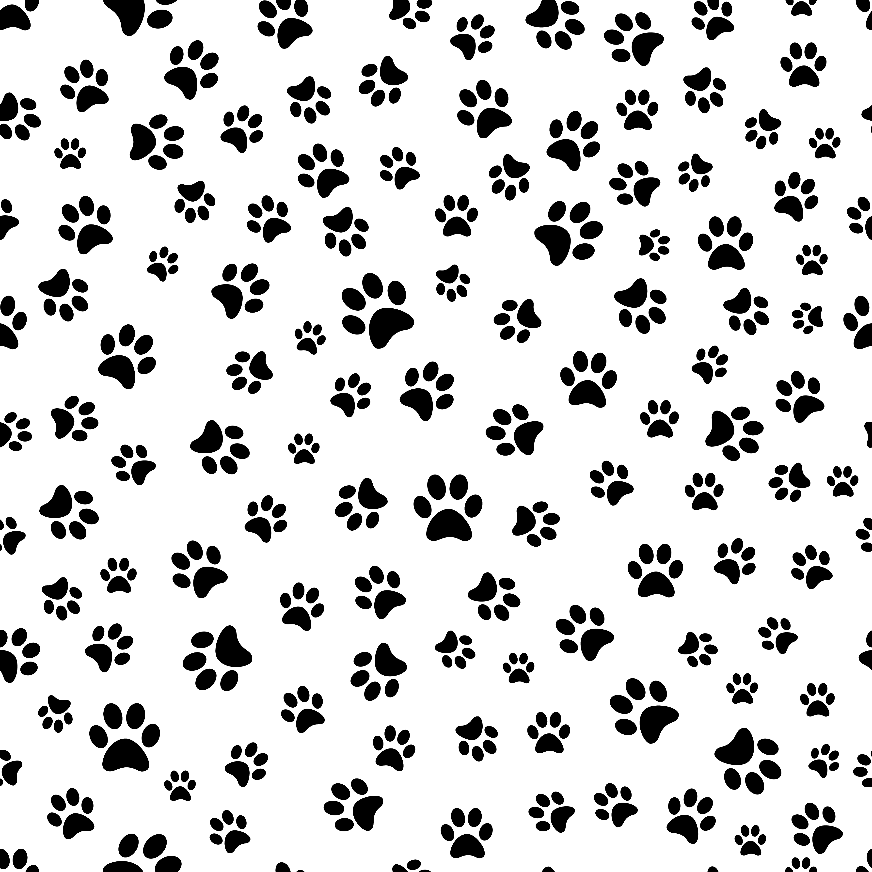 High Resolution Paw Print Background