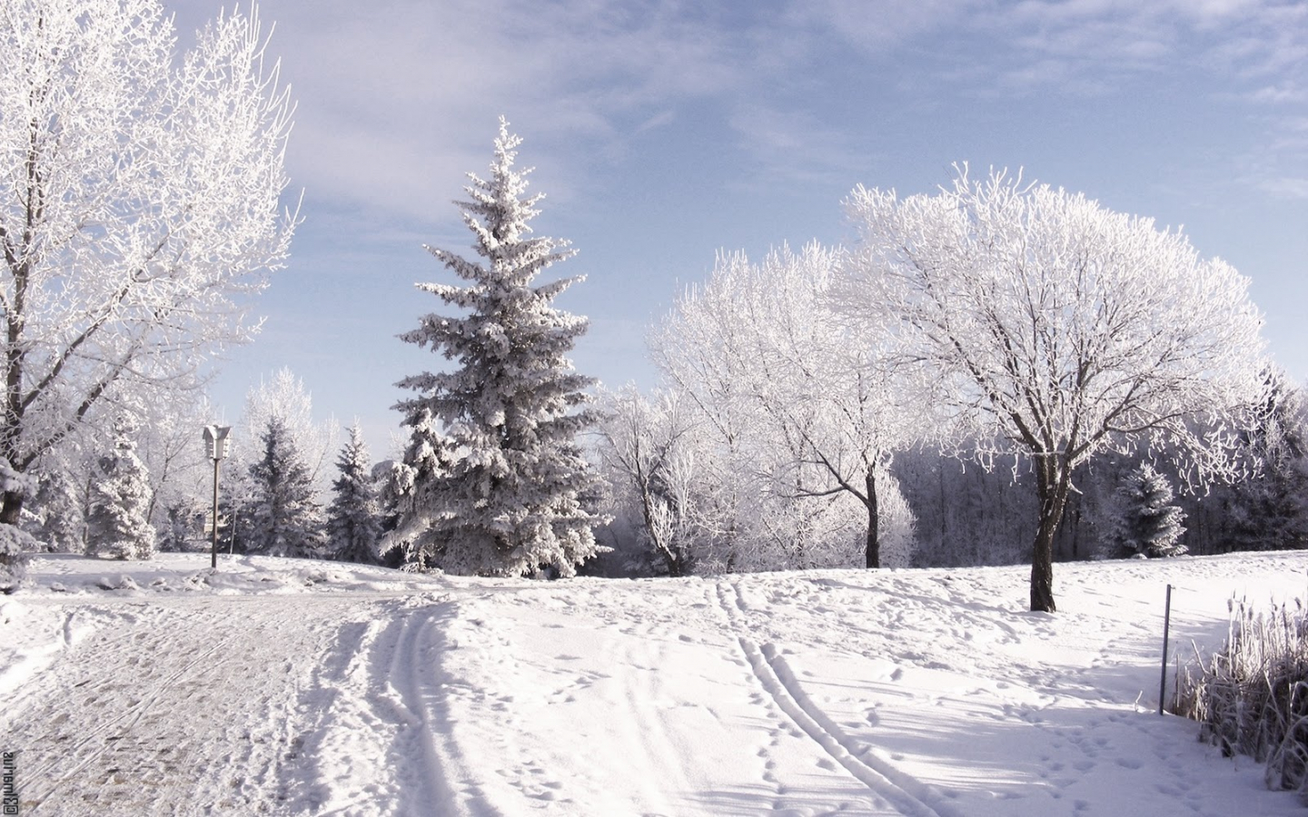 High Resolution Snow Background