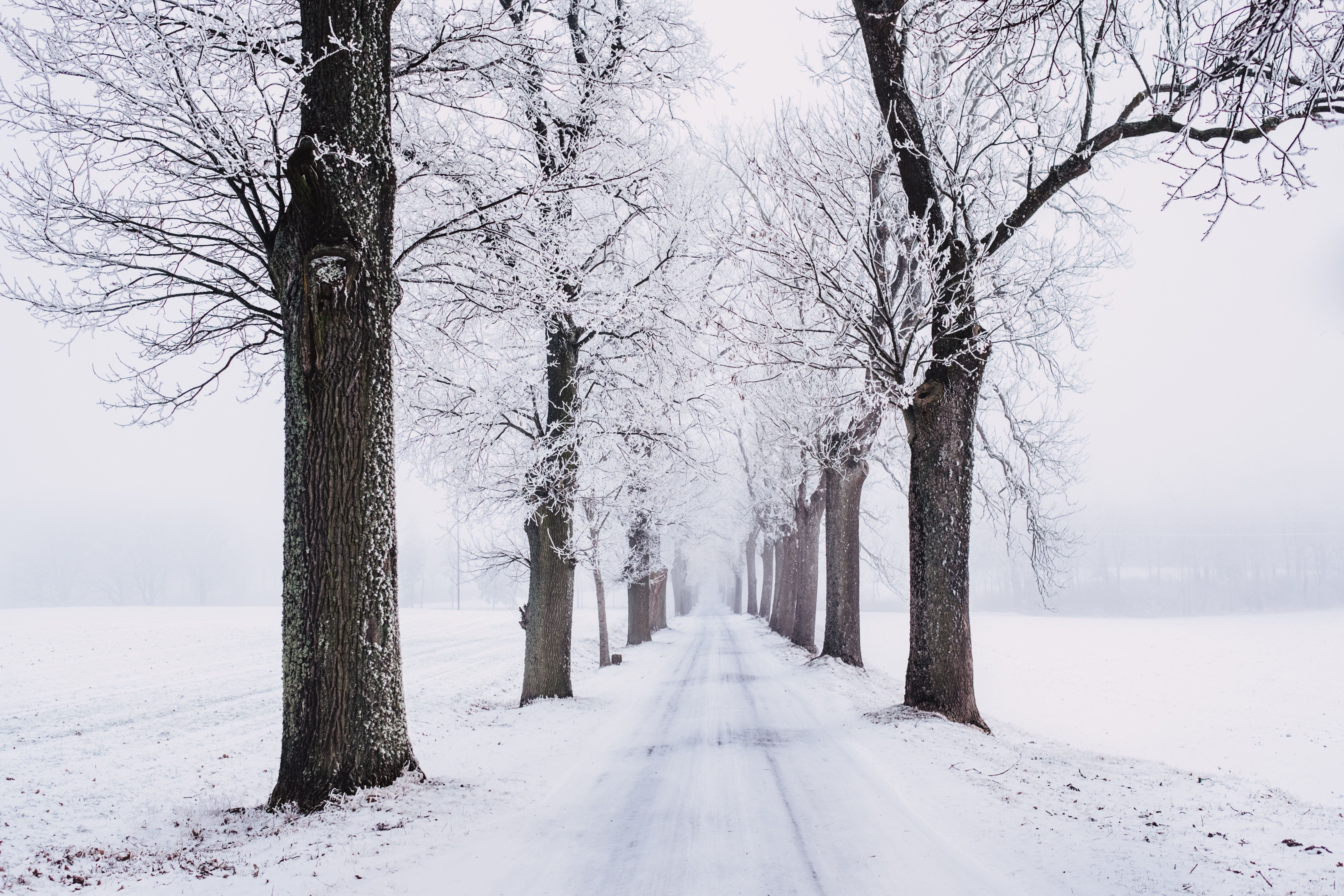 High Resolution Snow Background