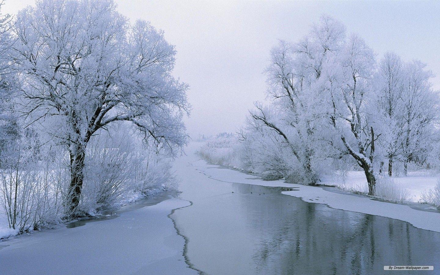 High Resolution Winter Wonderland Background