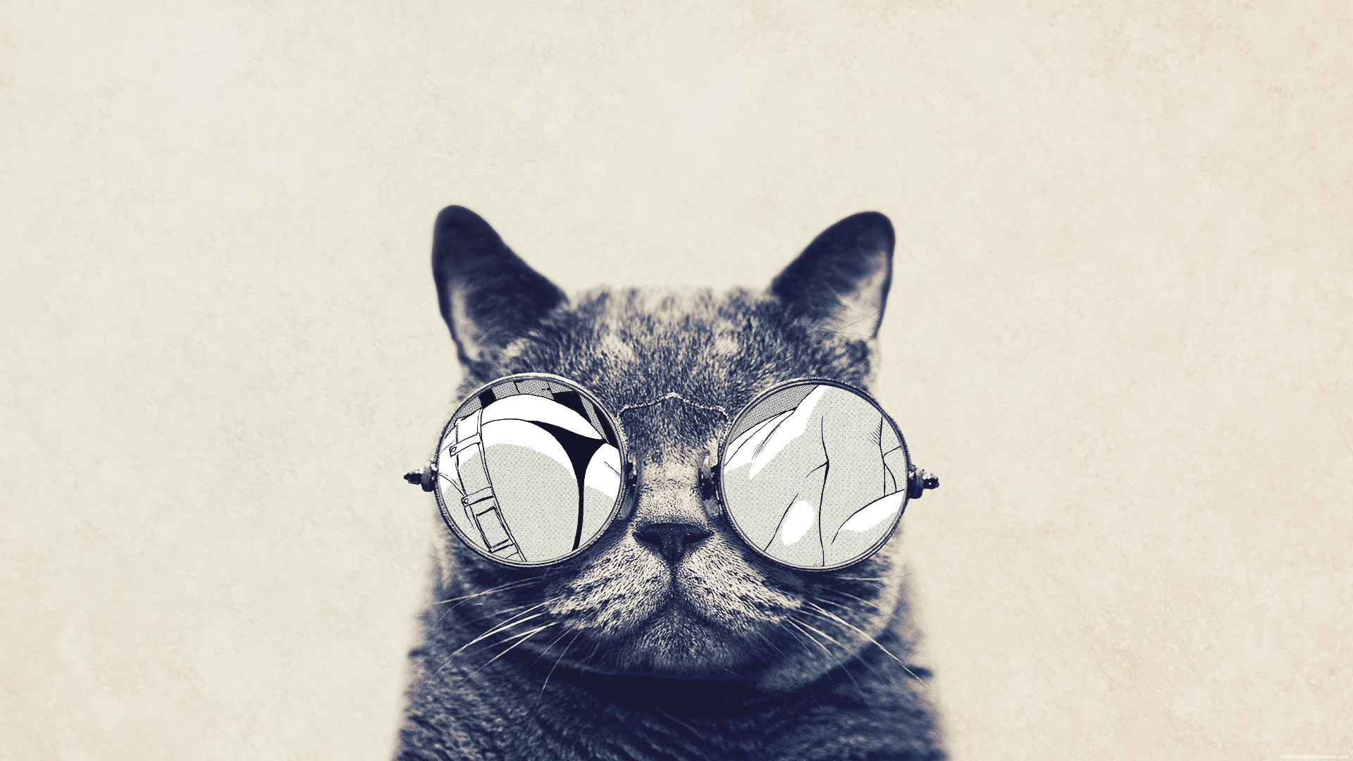 Hipster Cat Background