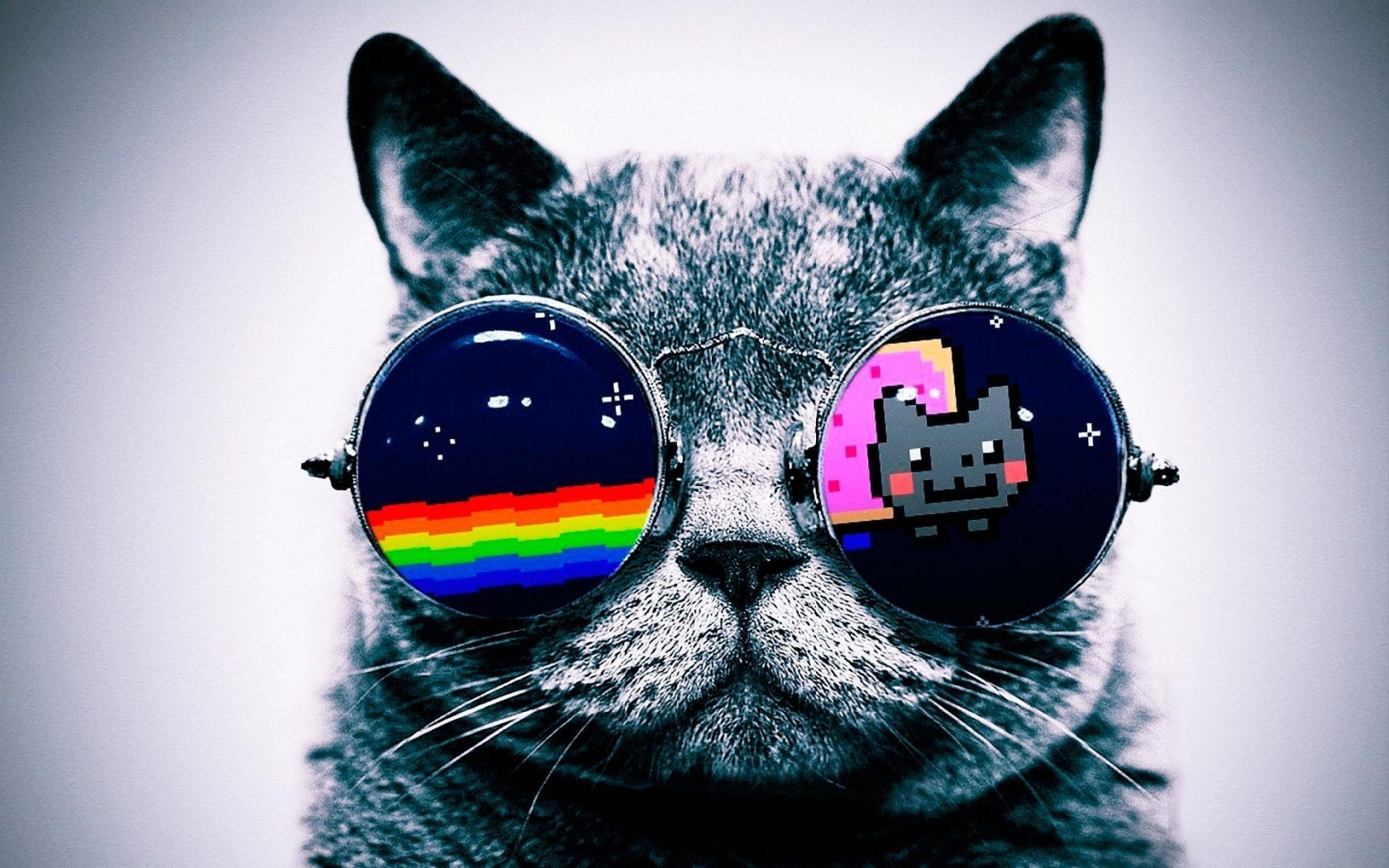 Hipster Cat Background