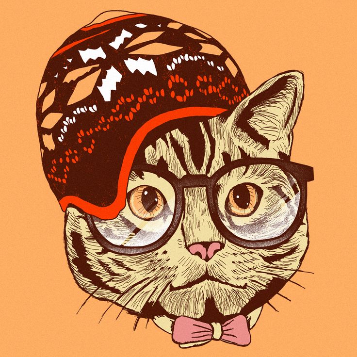 Hipster Cat Background