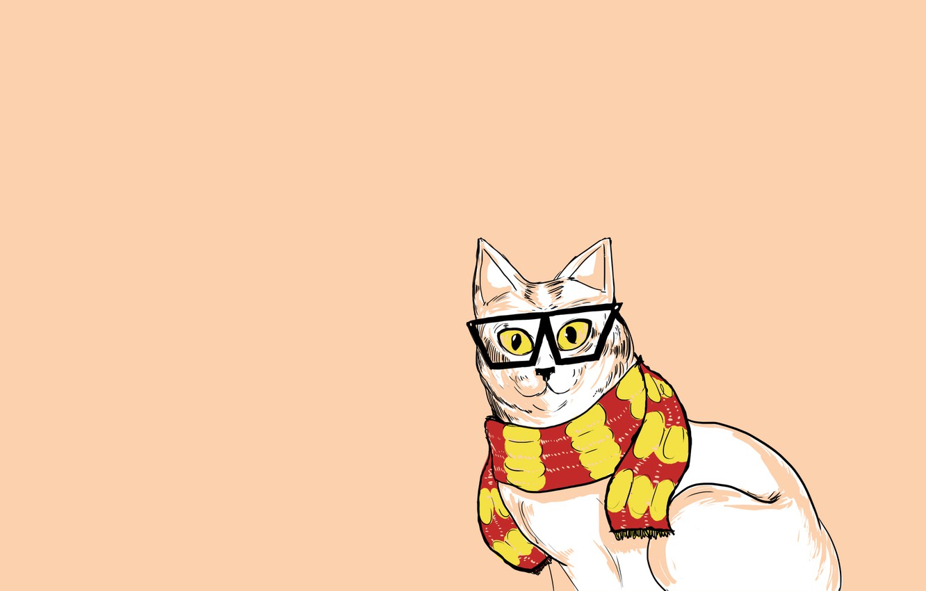 Hipster Cat Background