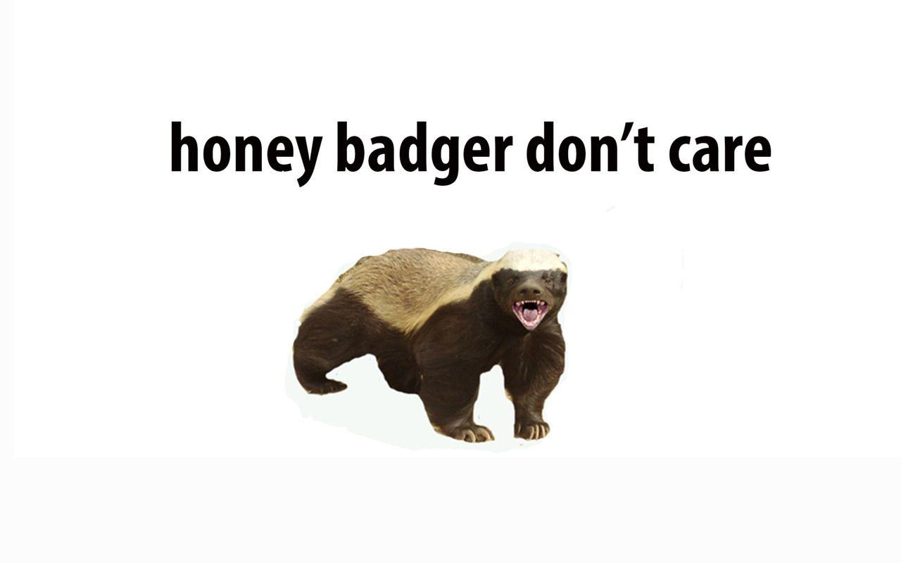 Honey Badger Background