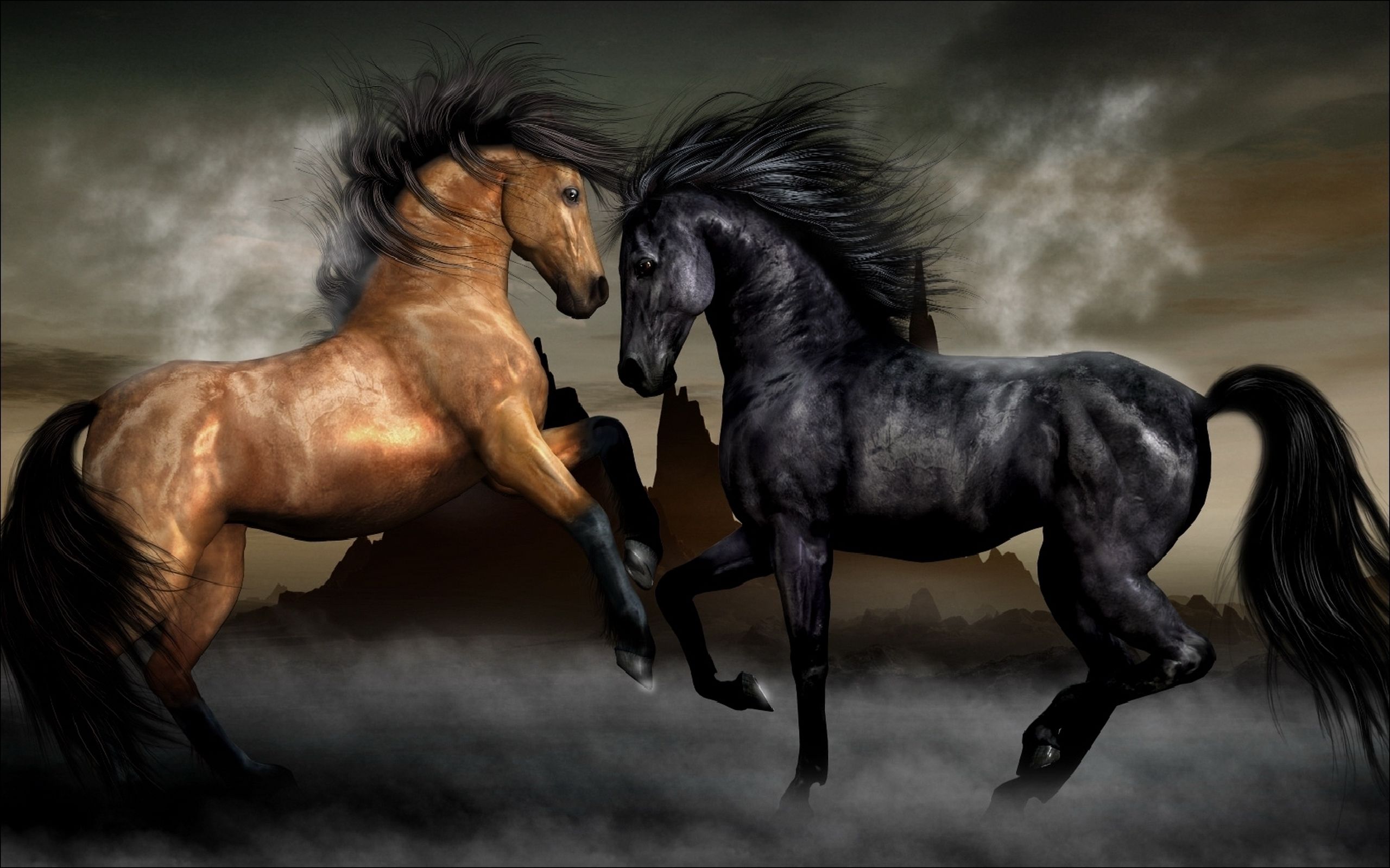 Horses Backgrounds