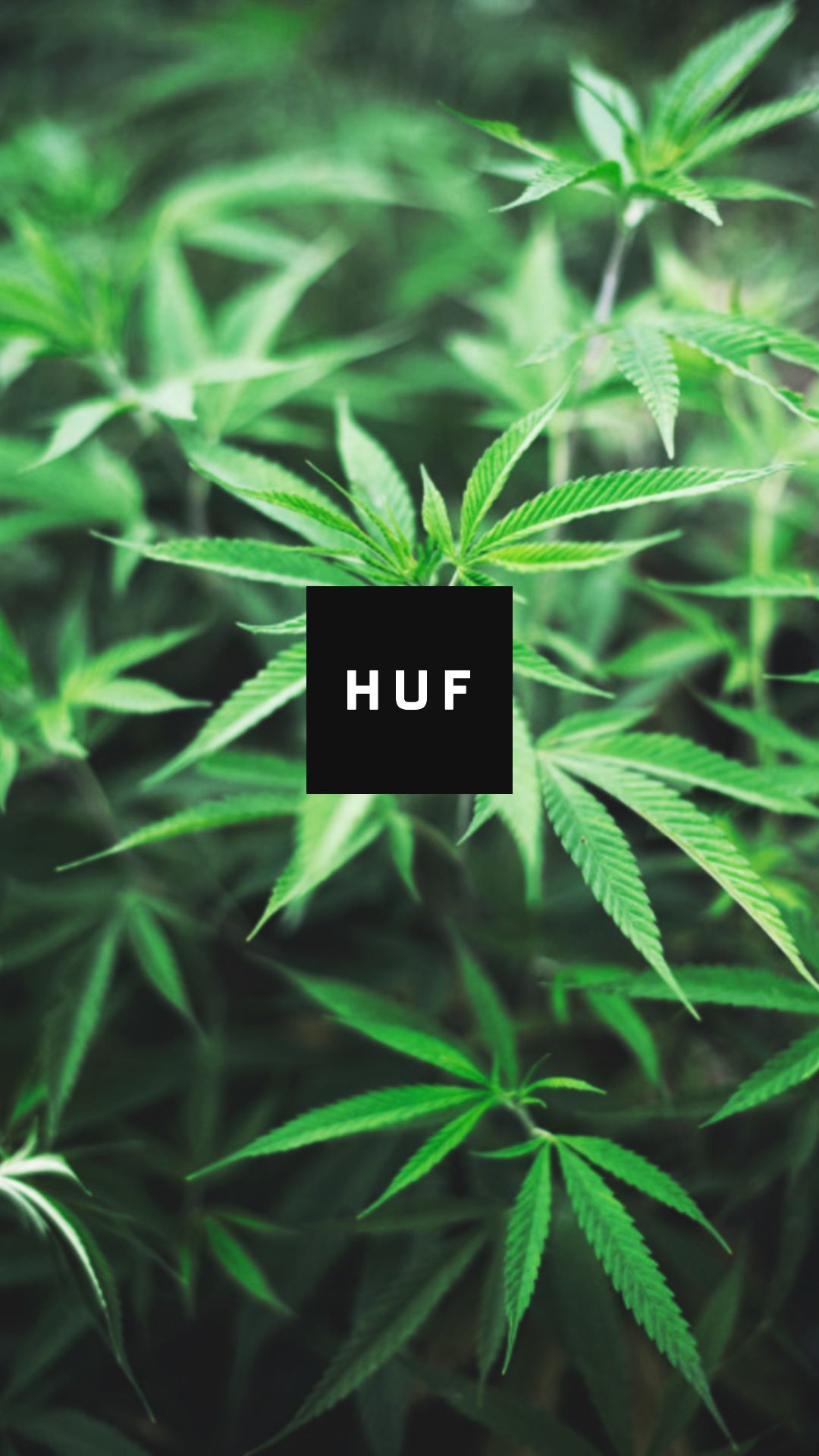 Huf Backgrounds