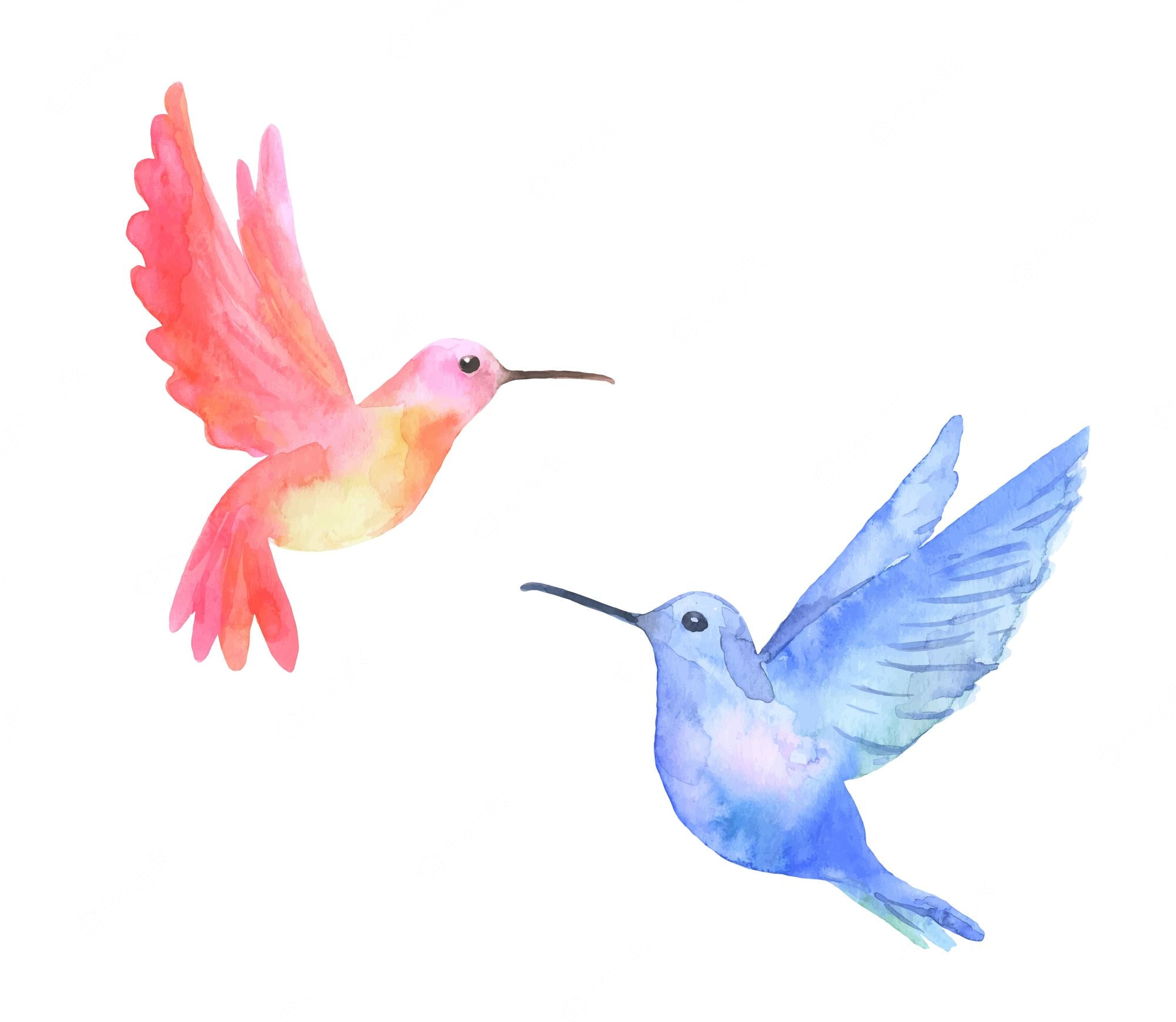 Hummingbird Backgrounds