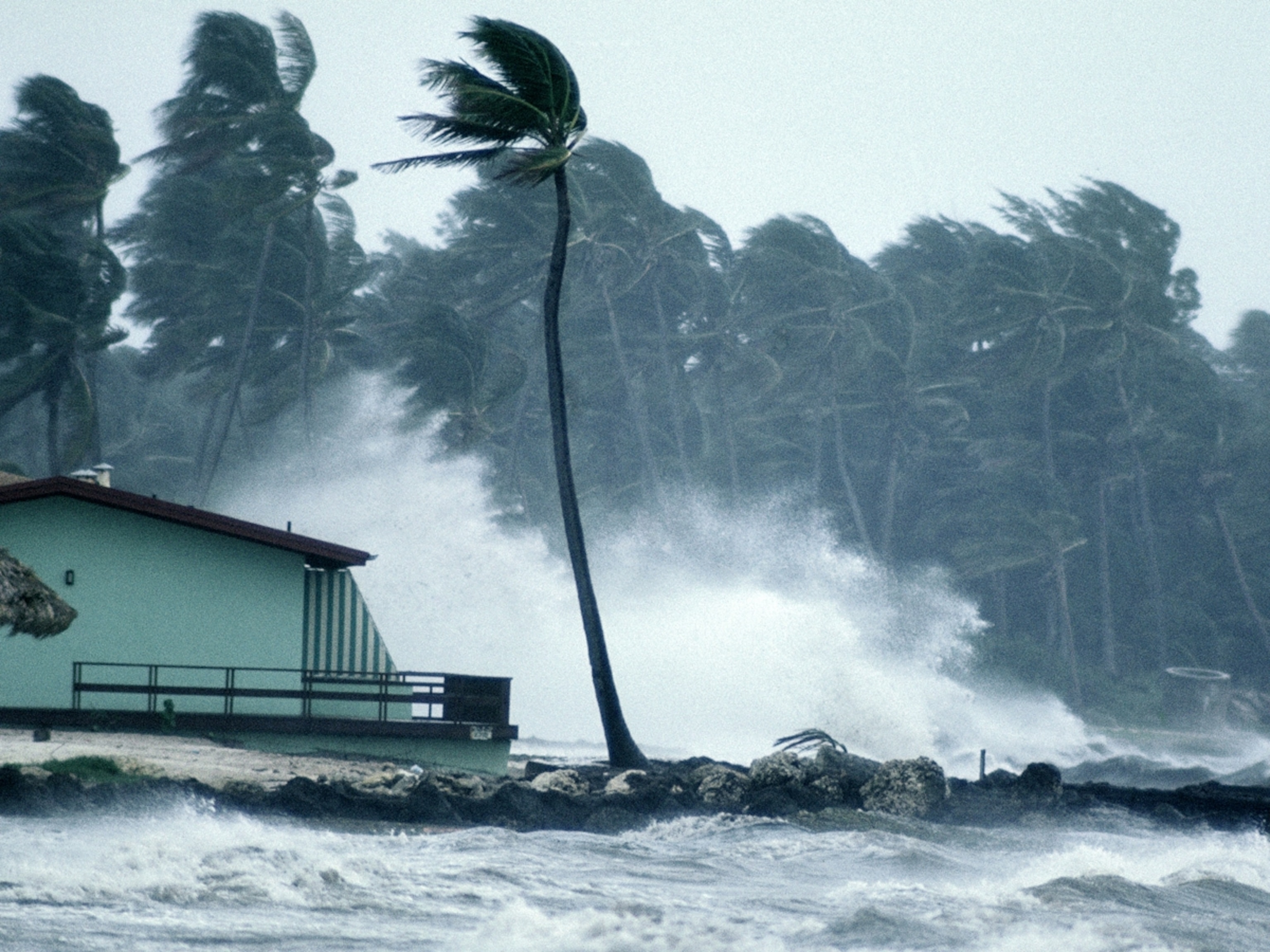 Hurricane Backgrounds