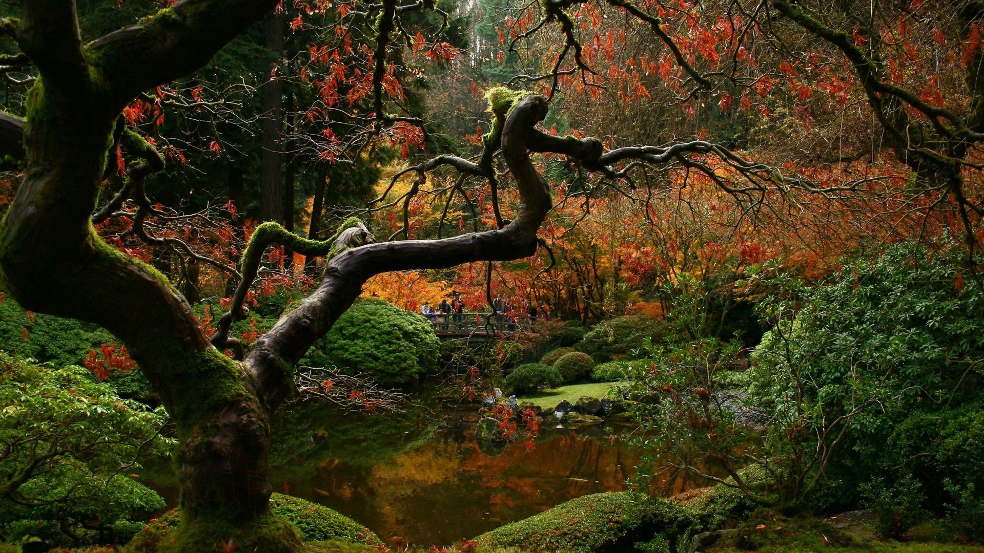 Japanese Nature Background