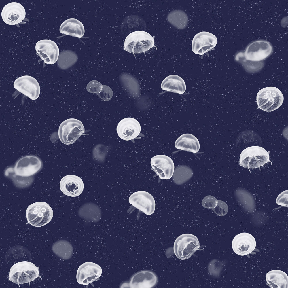 Jellyfish Background