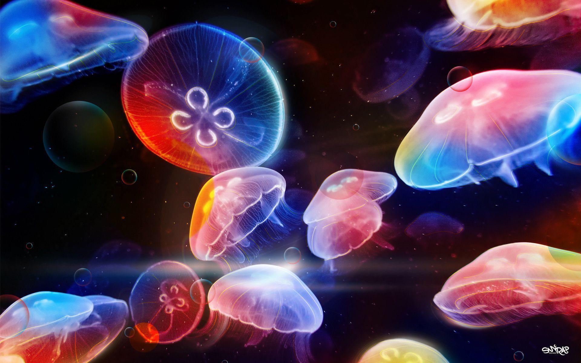 Jellyfish Background